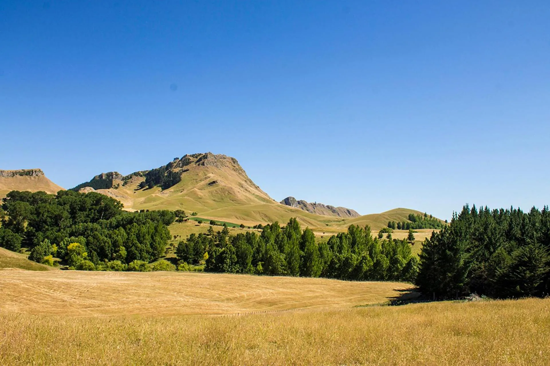 Activities in Secluded Haven Near Bush, Beach & Havelock North