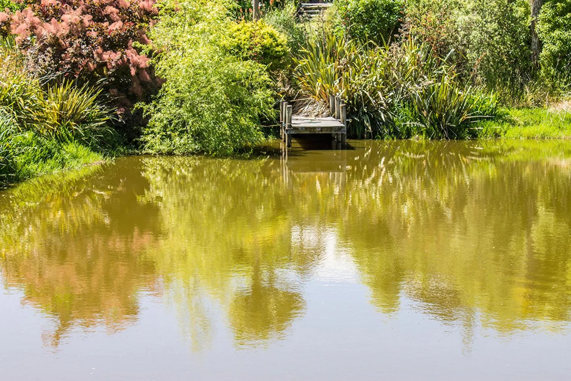 Entertainment in Secluded Haven Near Bush, Beach & Havelock North