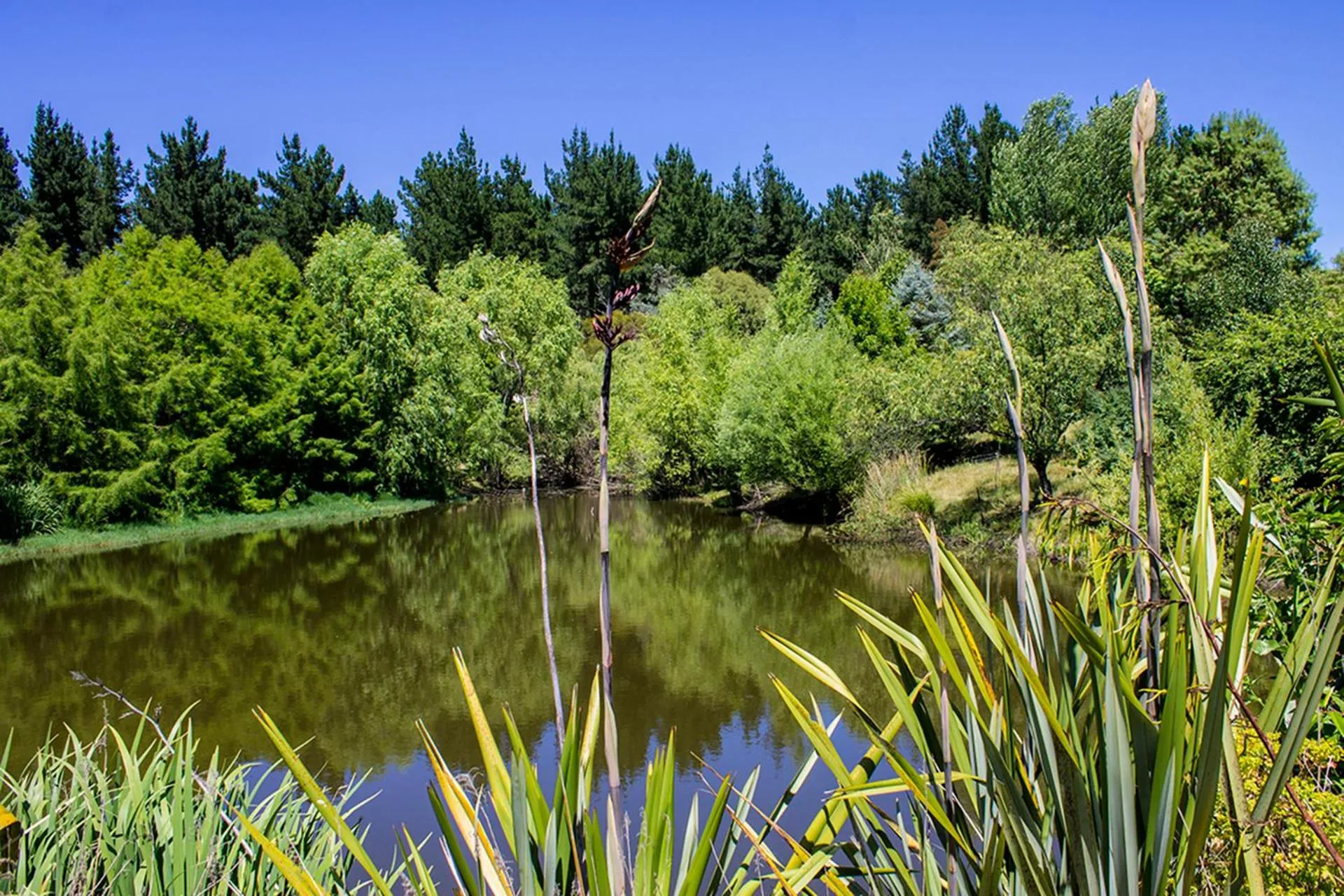 Entertainment in Secluded Haven Near Bush, Beach & Havelock North