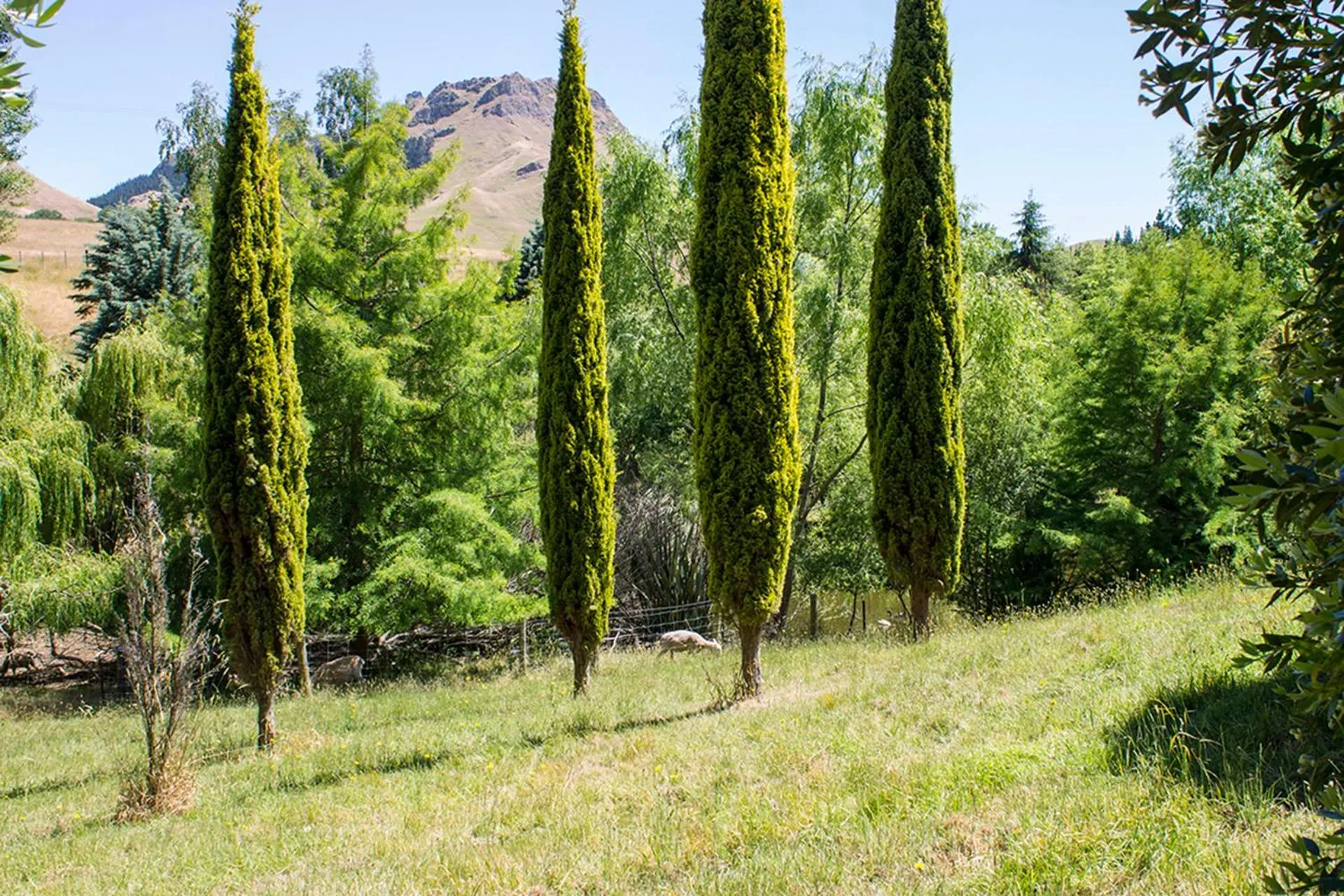 Activities in Secluded Haven Near Bush, Beach & Havelock North