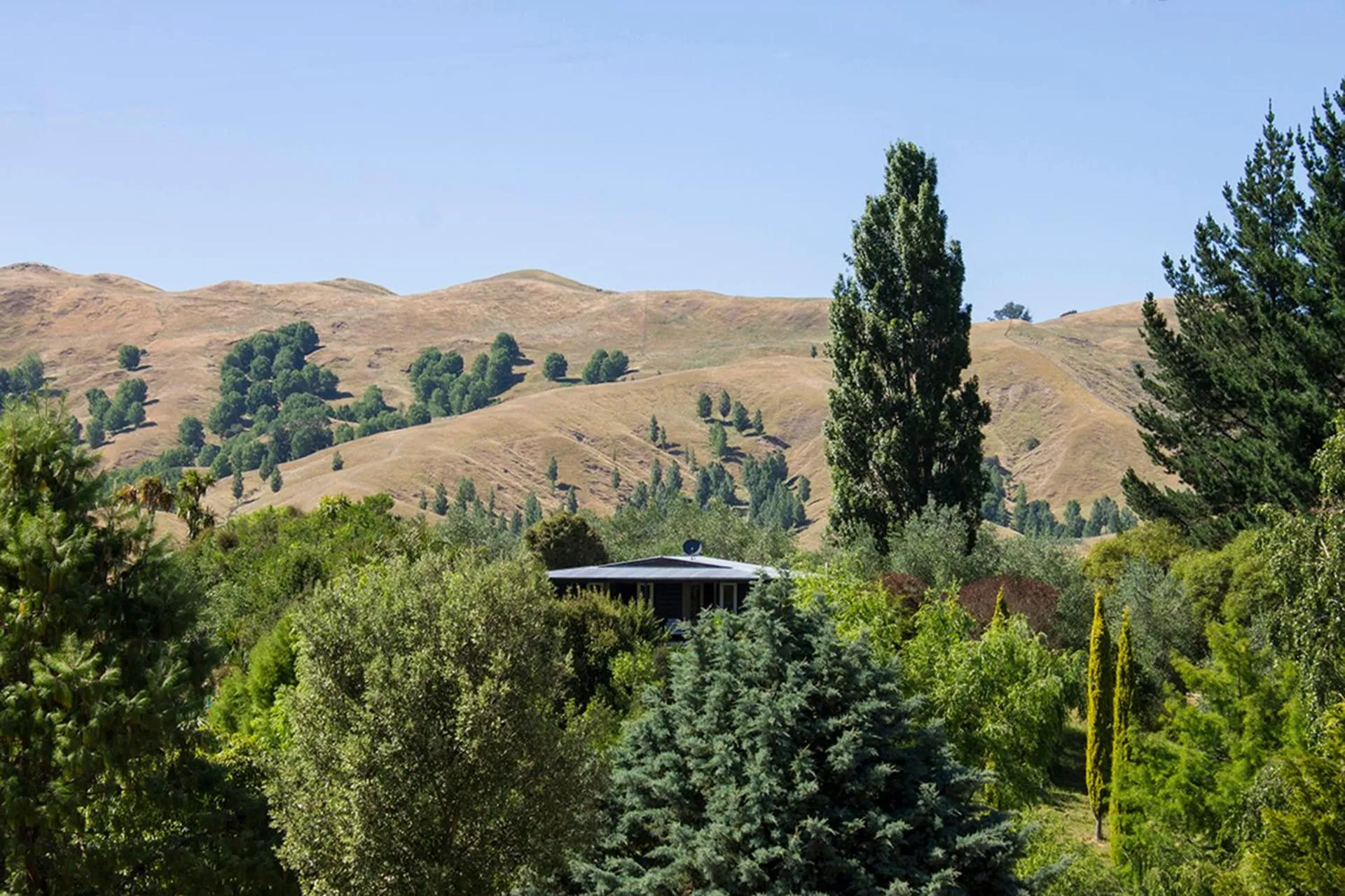 Property building in Secluded Haven Near Bush, Beach & Havelock North