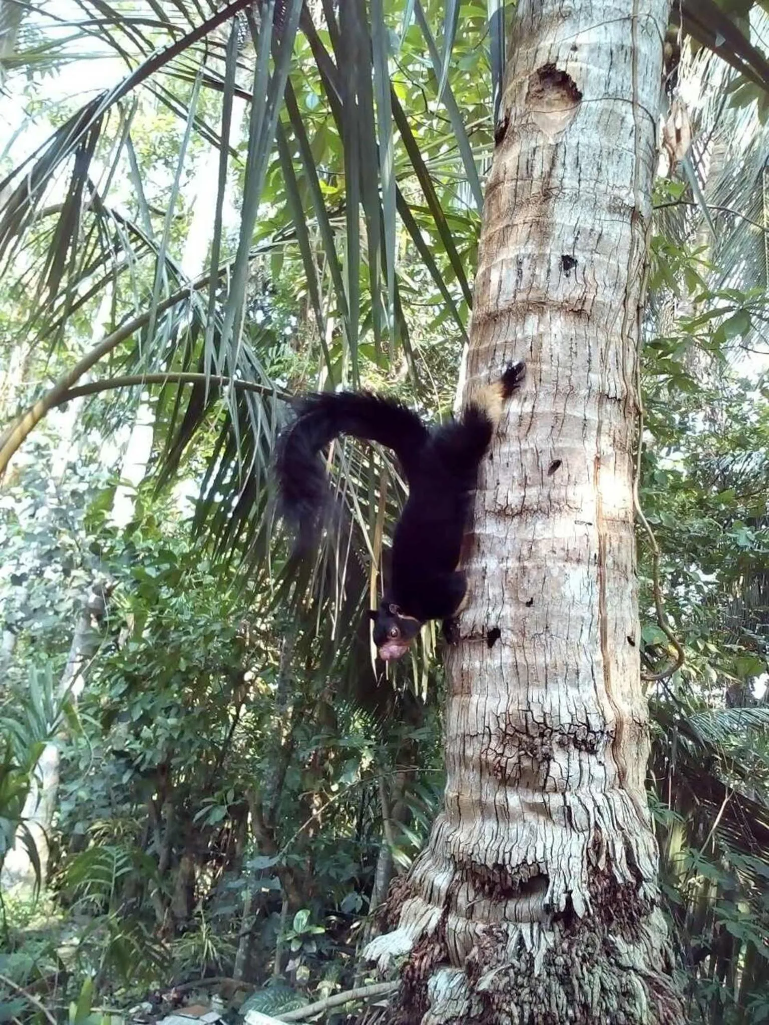 Garden view in Ging View Villa