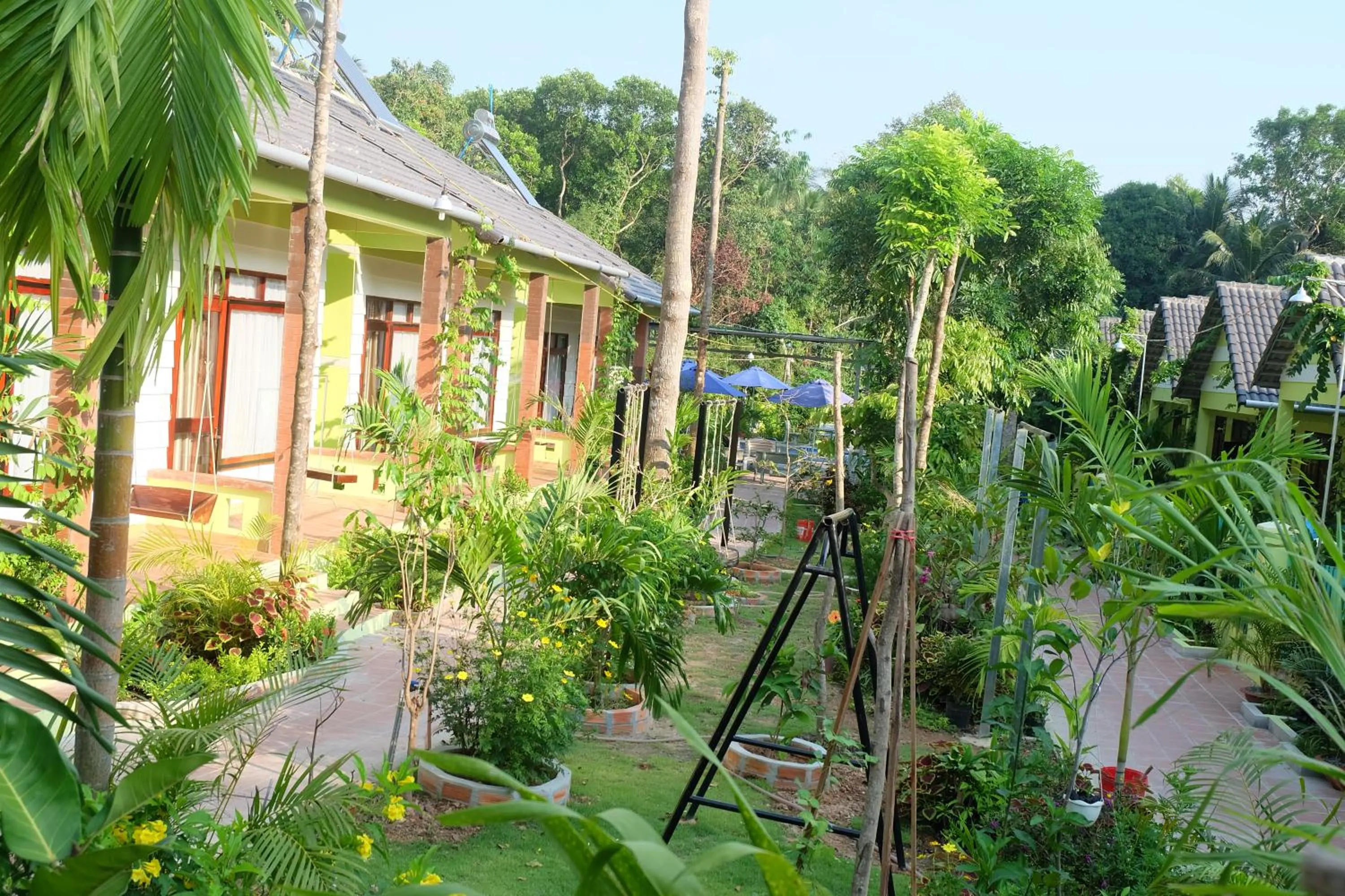 Garden in Mai Binh Phuong Bungalow