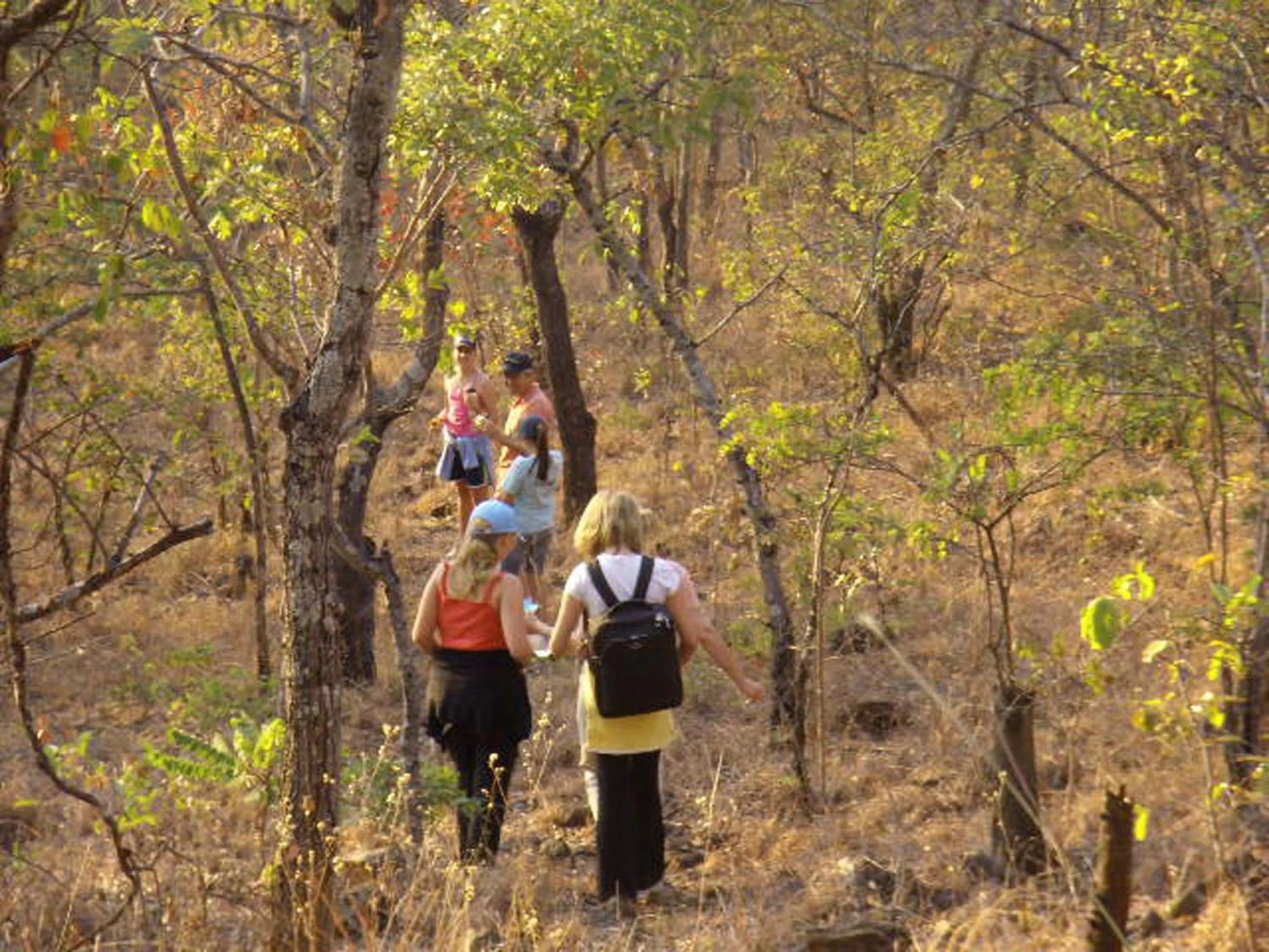 Natural landscape in Musangano Lodge