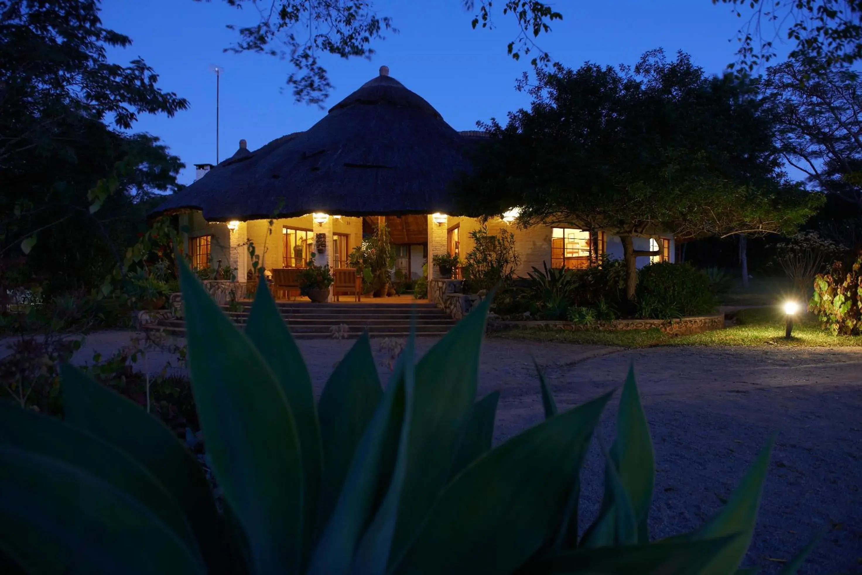 Restaurant/places to eat in Musangano Lodge Restaurant/places to eat in Musangano Lodge