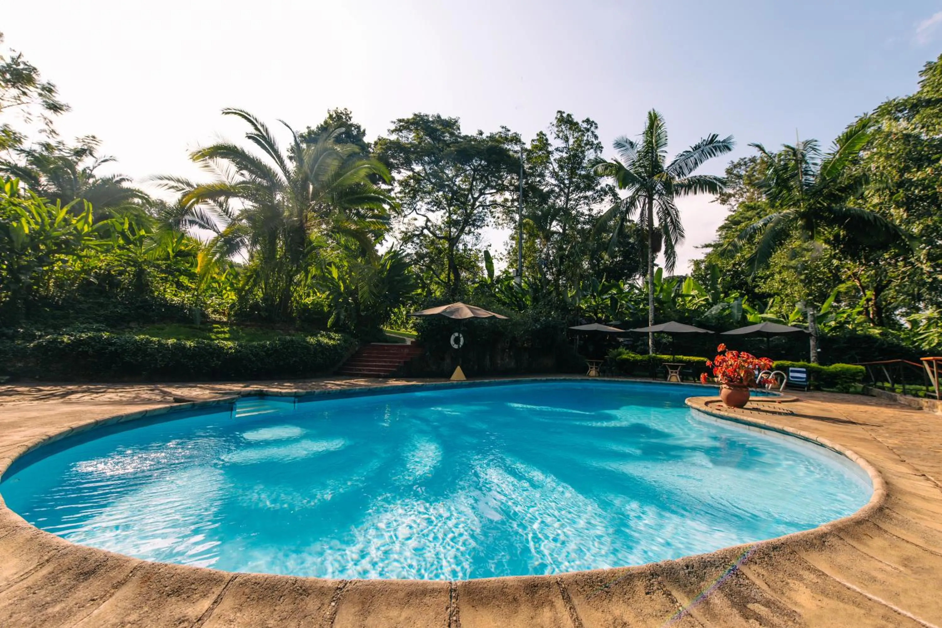 Swimming pool in Aishi Machame