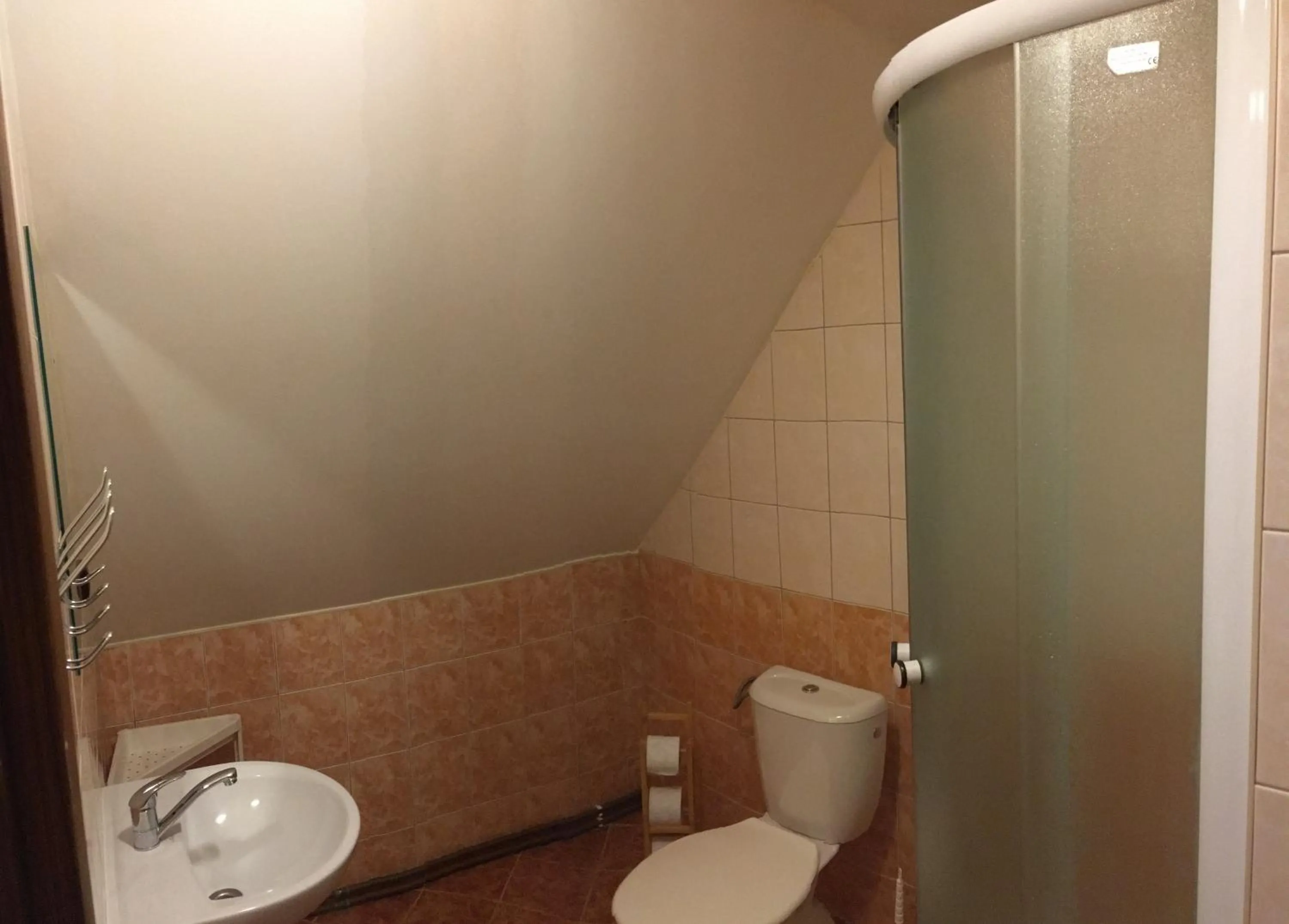 Toilet in Penzion "V Zelený"