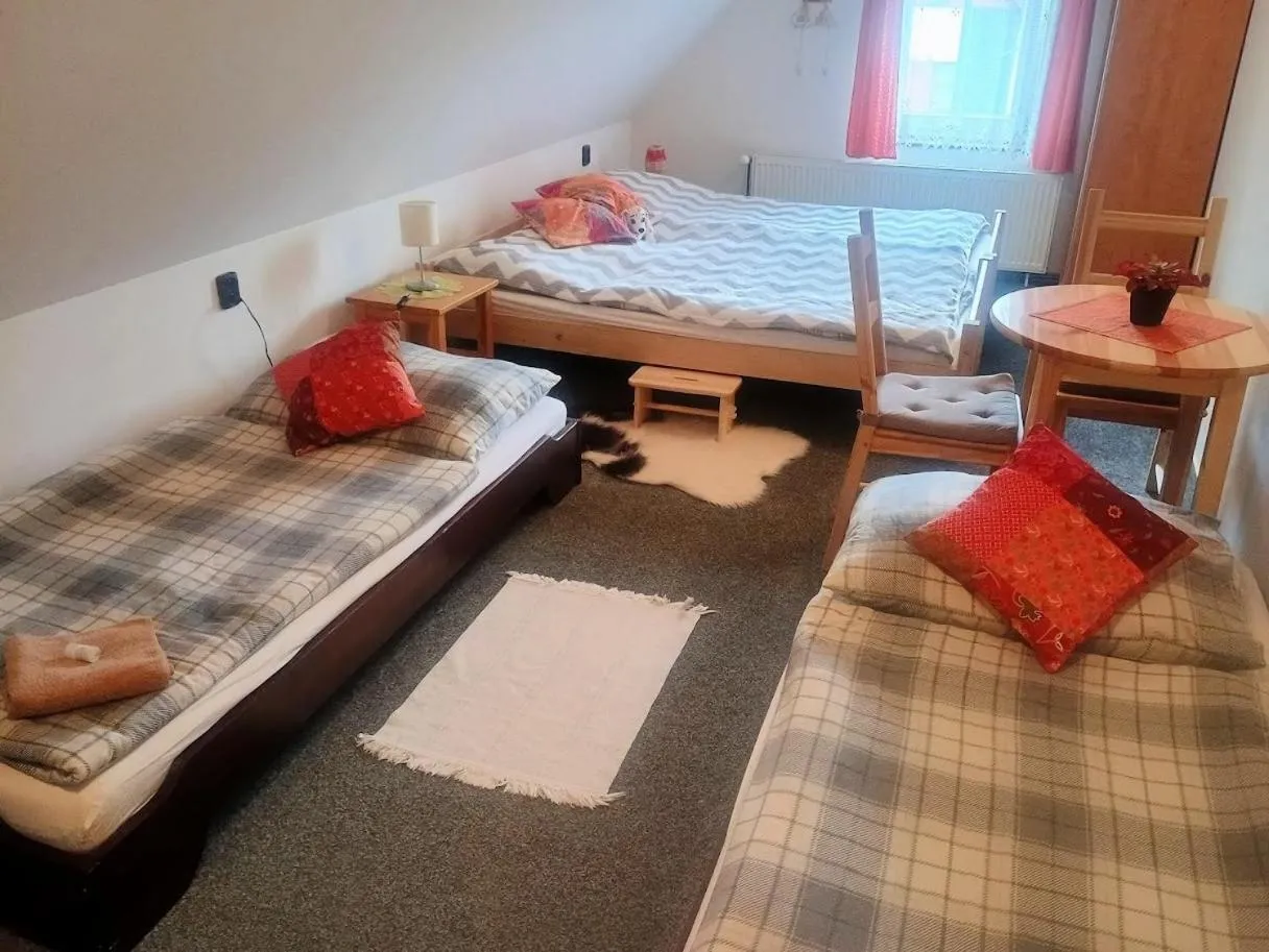 Area and facilities, Bed in Penzion "V Zelený"