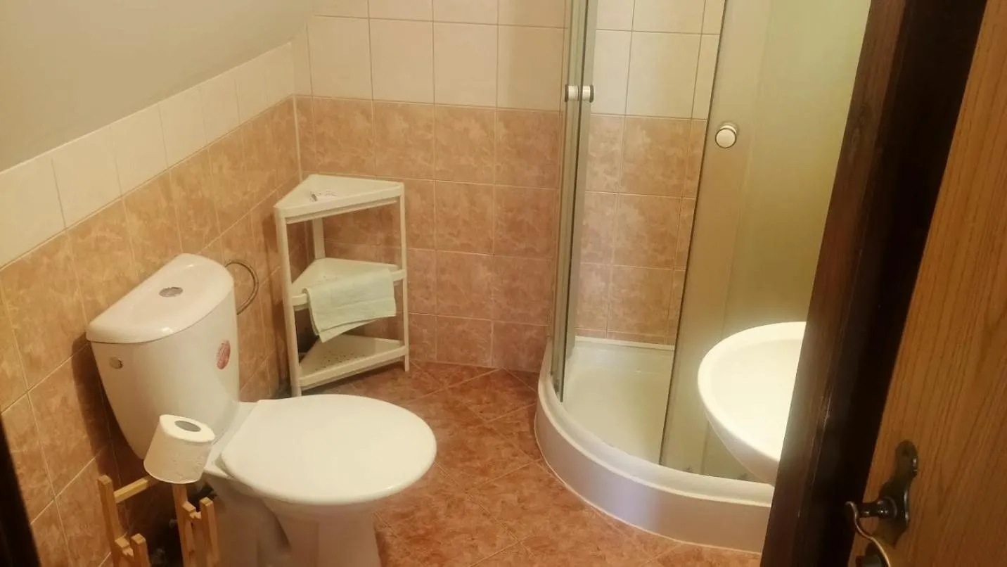Bathroom in Penzion "V Zelený"