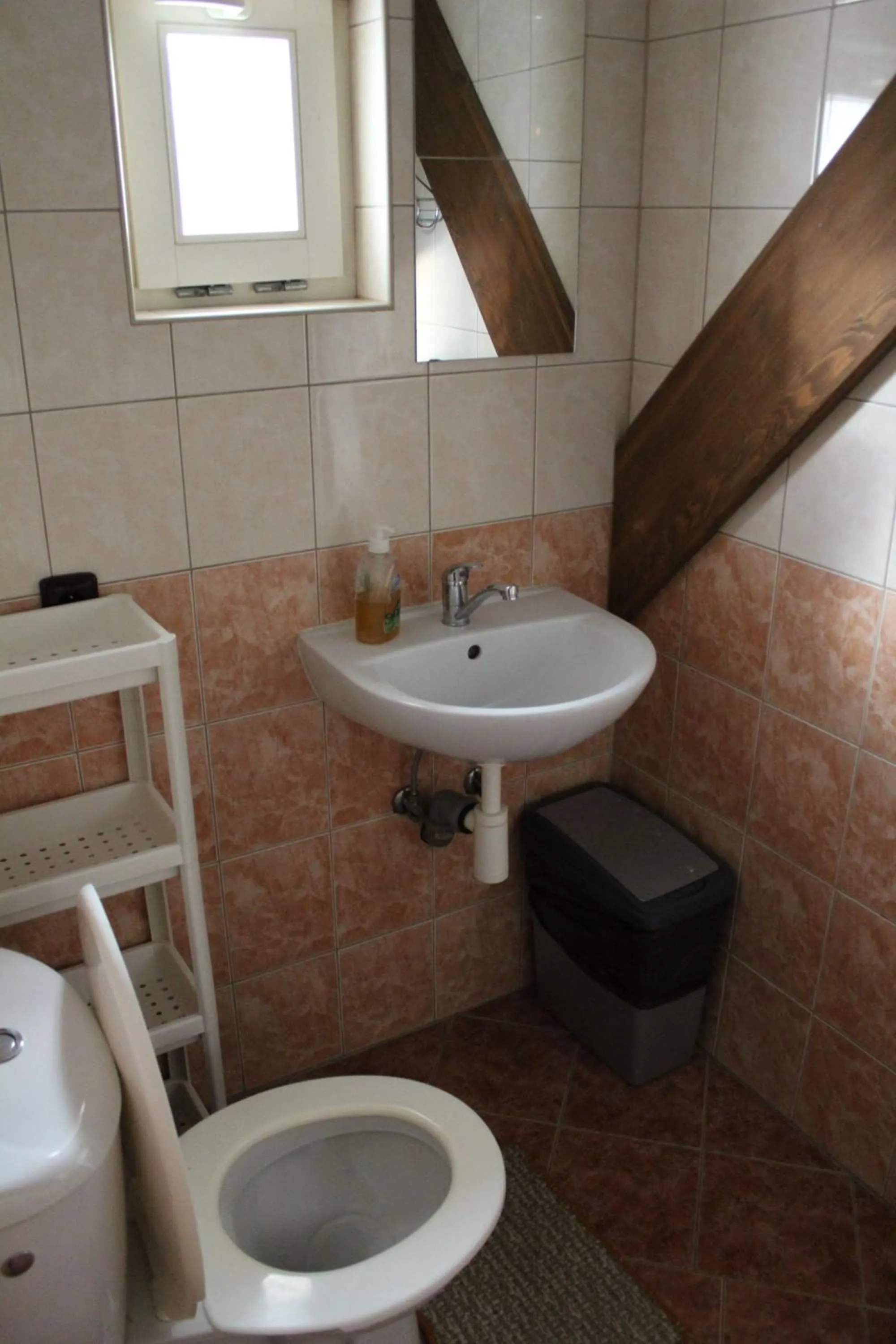 Toilet in Penzion "V Zelený"