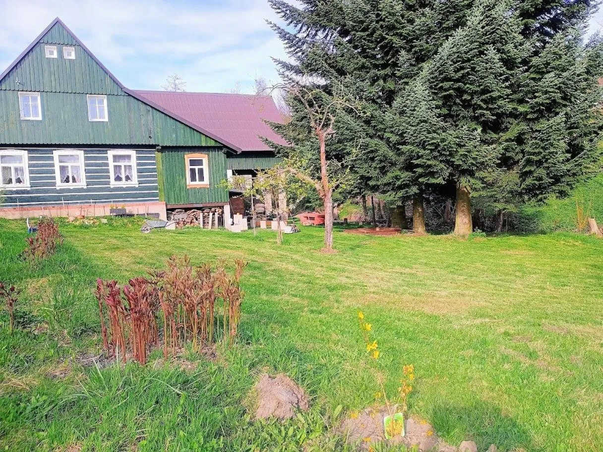 Garden in Penzion "V Zelený"
