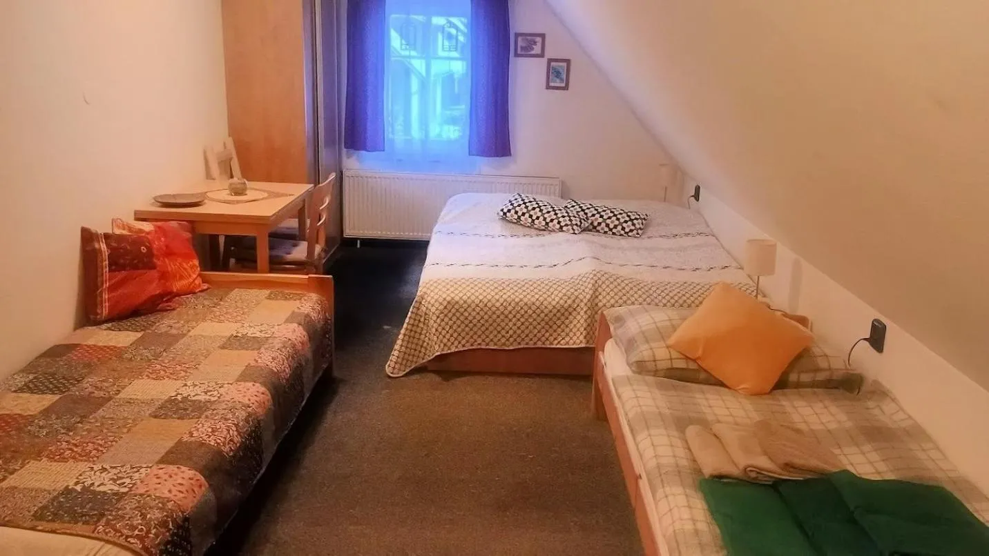 Area and facilities, Bed in Penzion "V Zelený"