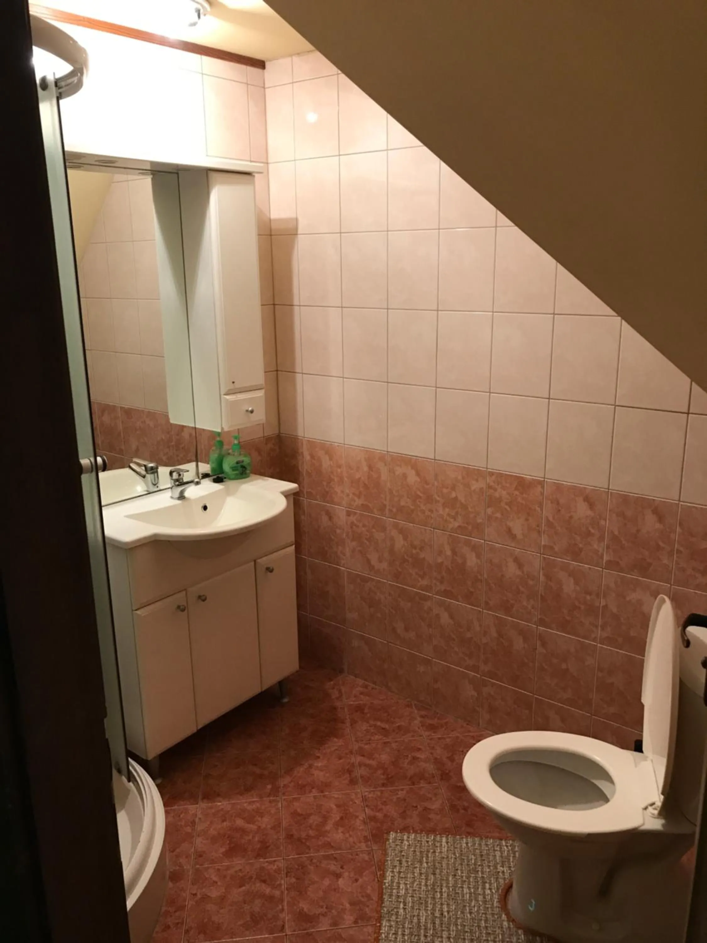 Toilet in Penzion "V Zelený"