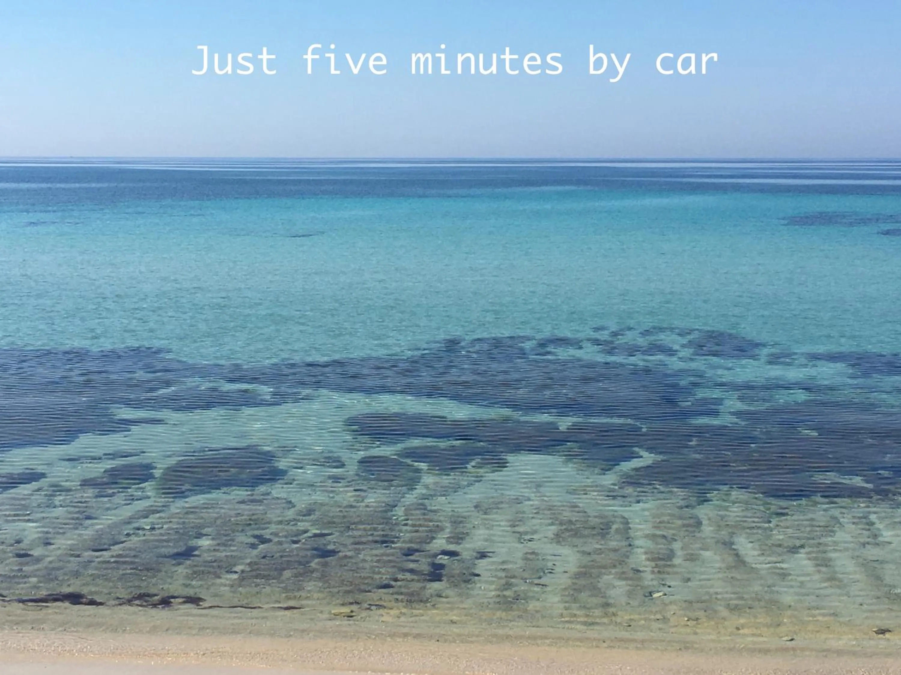 Area and facilities in Hibiscus