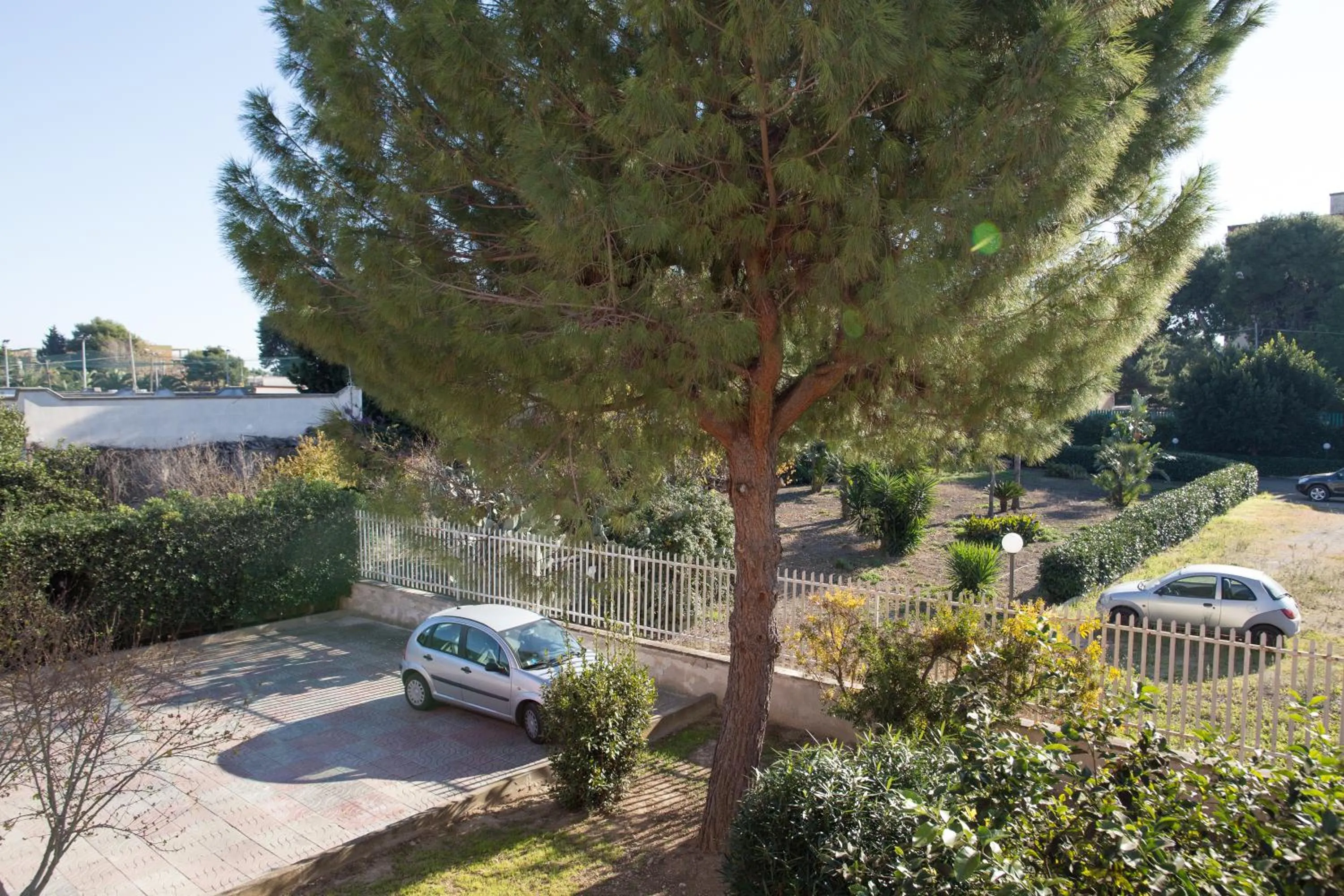 Garden view in Hibiscus