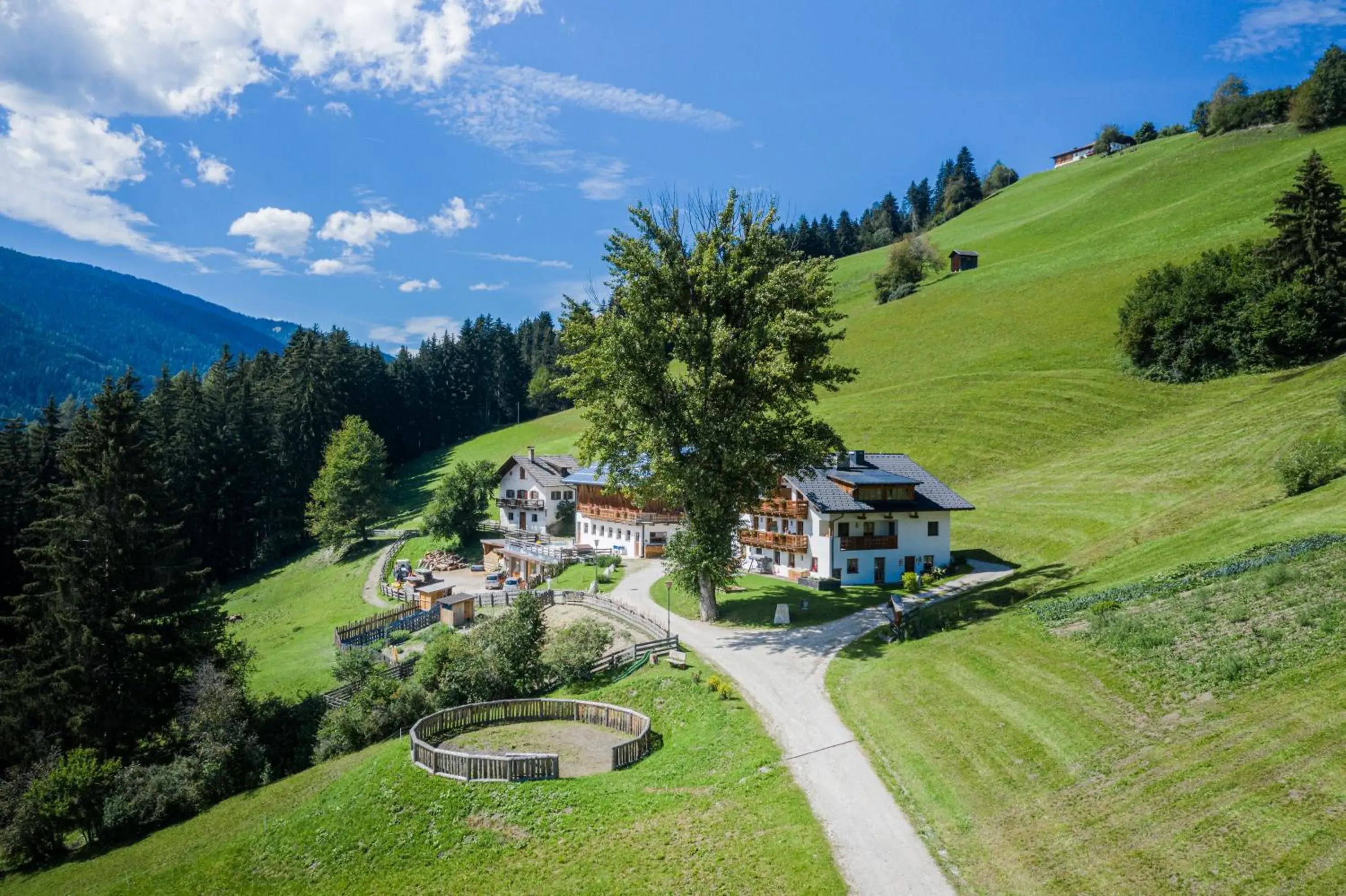 Haubenthal Haubenthal