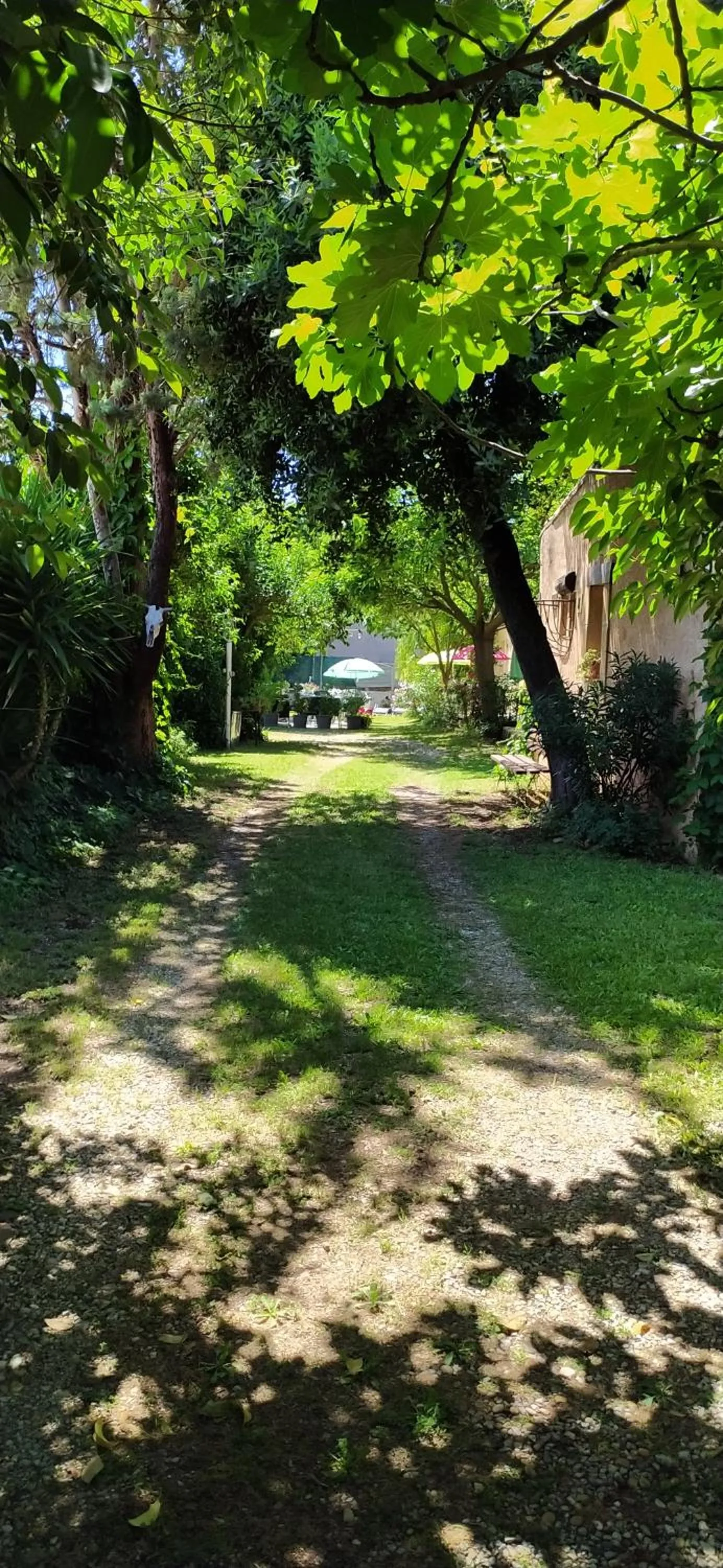Abrivado Aimargues en petite camargue, parking intérieur, wifi, jardin