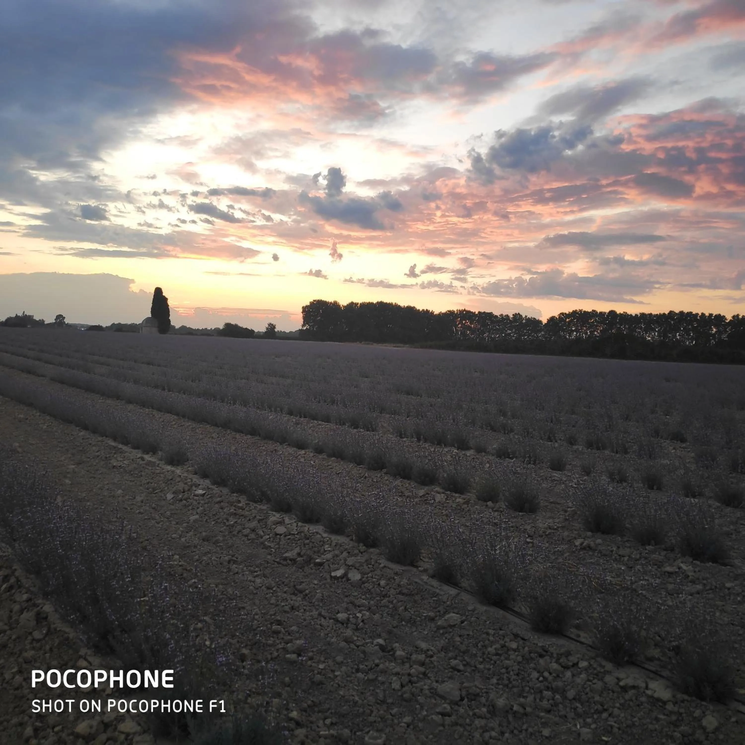 Natural landscape in Abrivado Aimargues en petite camargue, parking intérieur, wifi, jardin