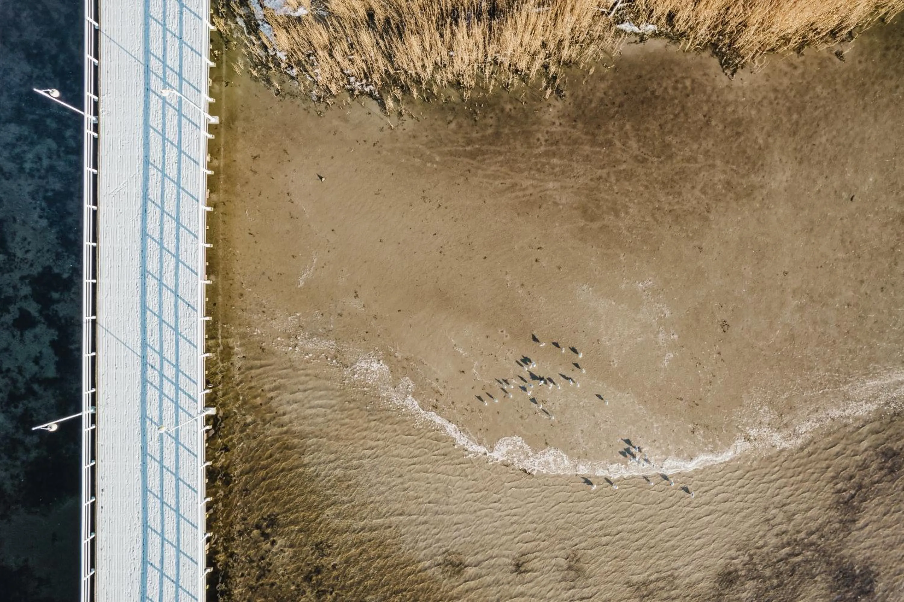 Bird's eye view in Międzymorze BlueApart Jurata