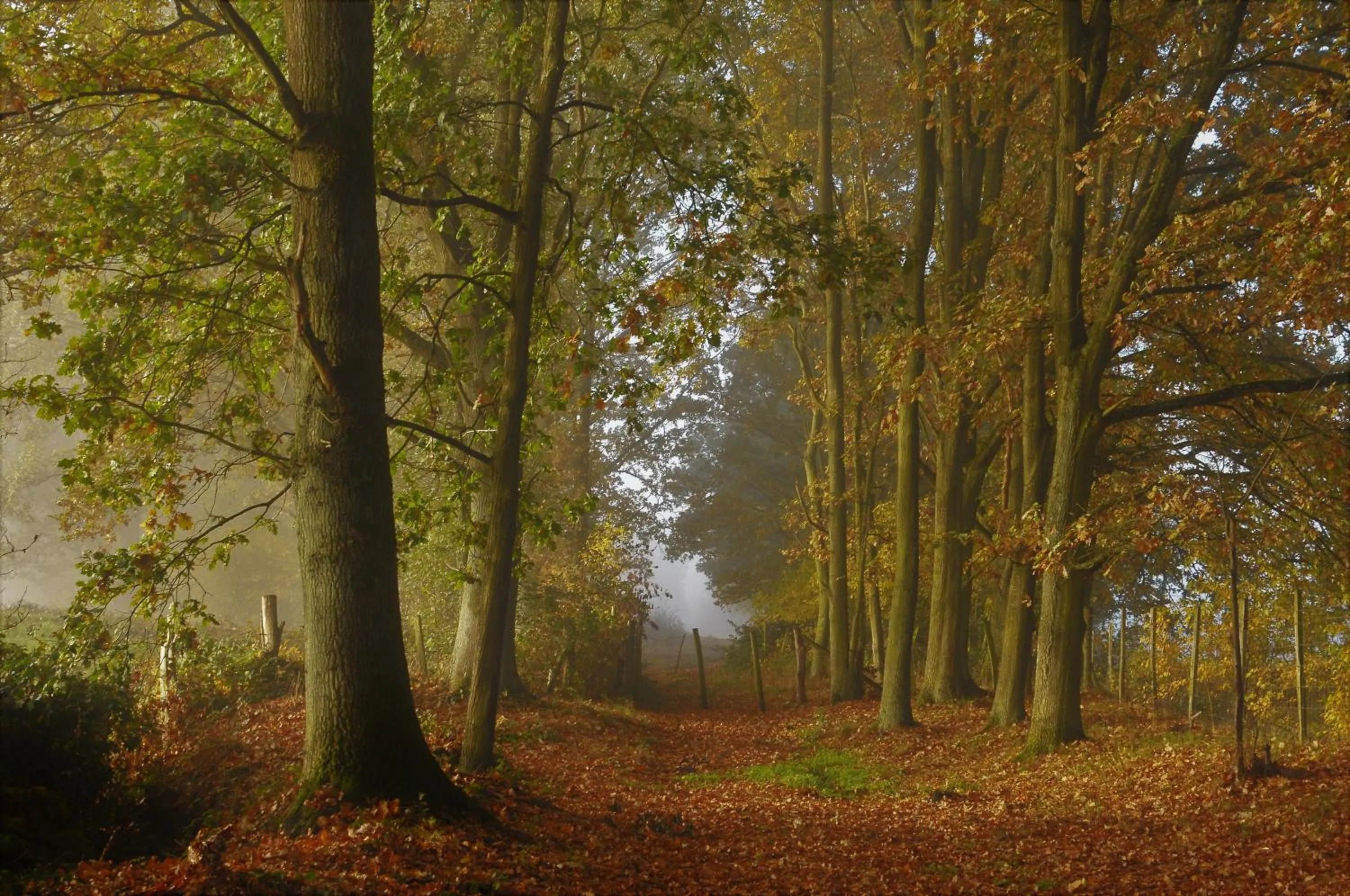 Natural landscape in Relax B&B Lavendine Pure