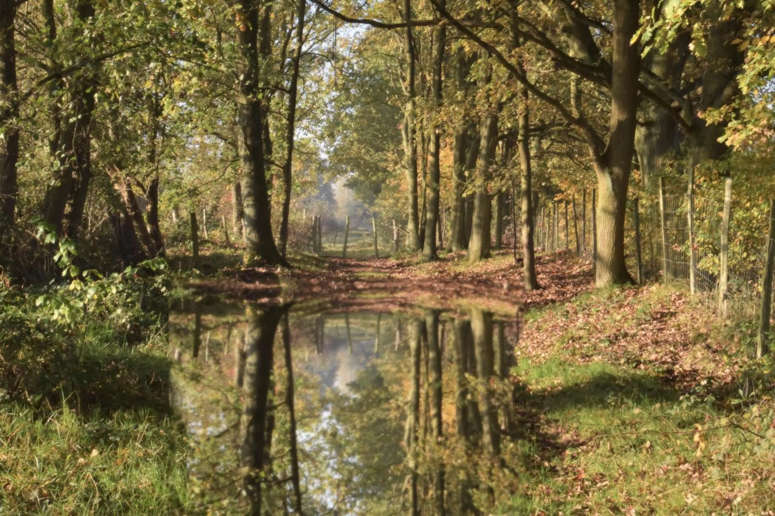 Natural landscape in Relax B&B Lavendine Pure