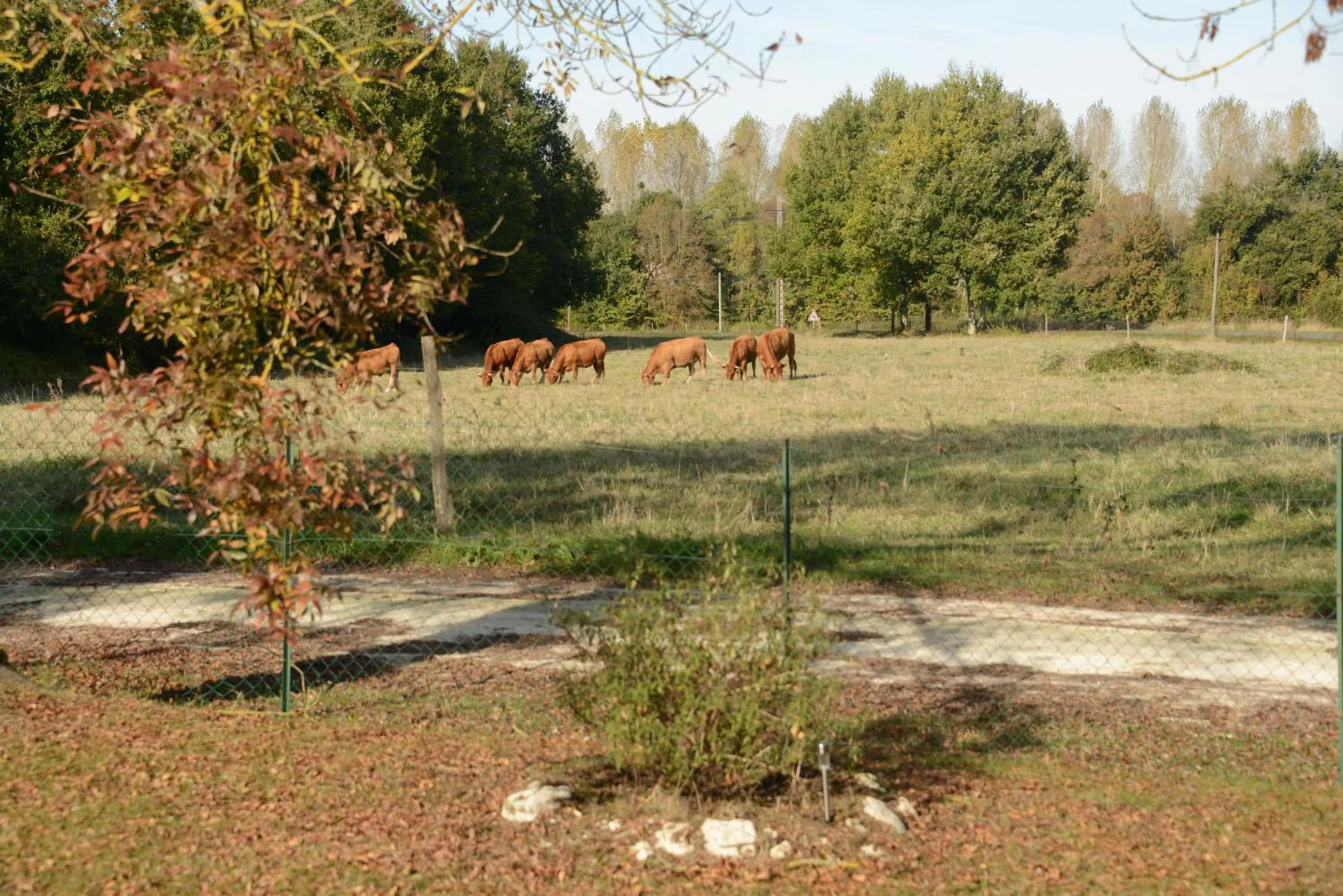 Les Demeures de la Laigne