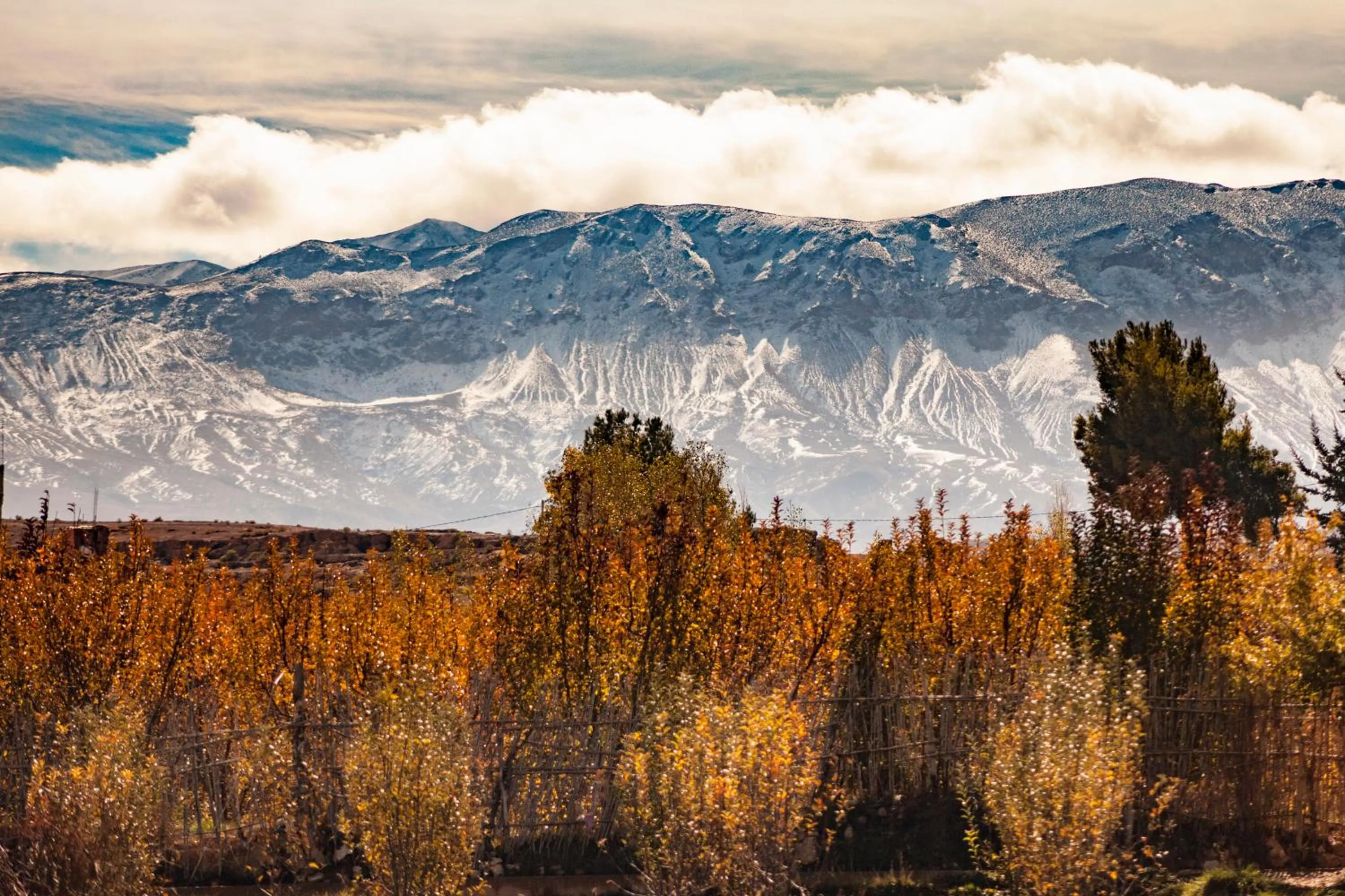 Property building in Villa Pomme d'Or