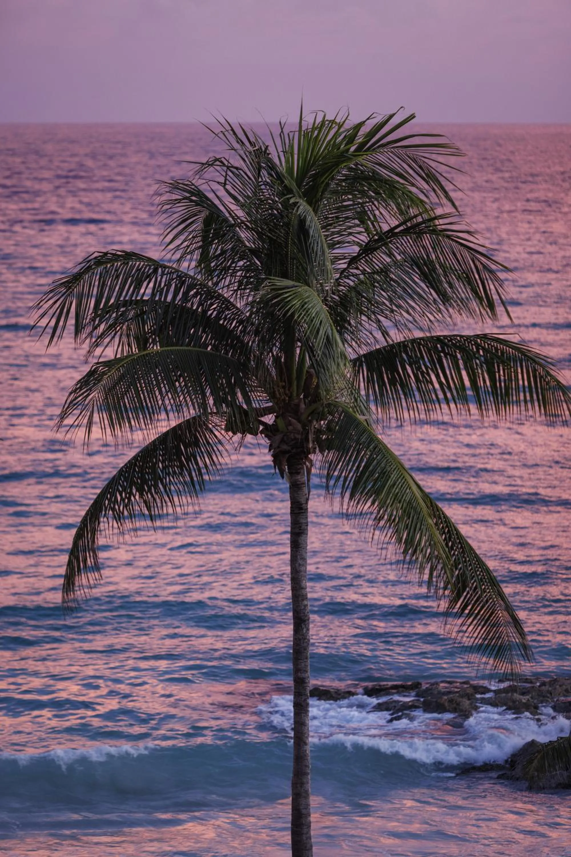 View (from property/room) in Sandals Grenada All Inclusive - Couples Only