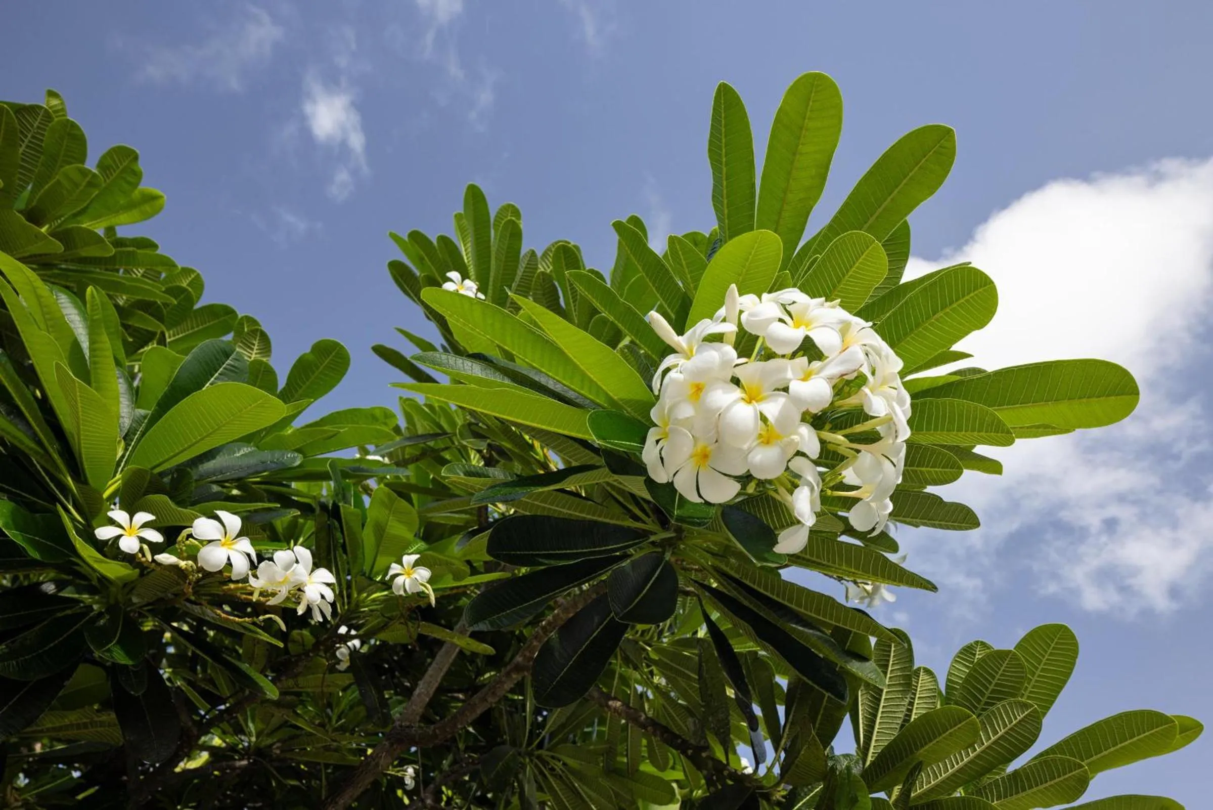 Bathroom in Sandals South Coast All Inclusive - Couples Only