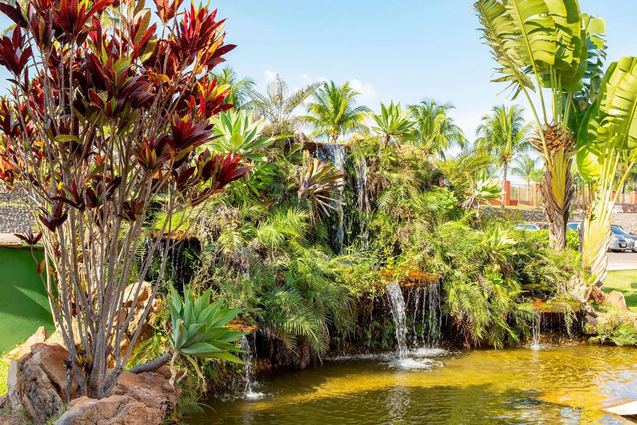 Garden in Premier Residence