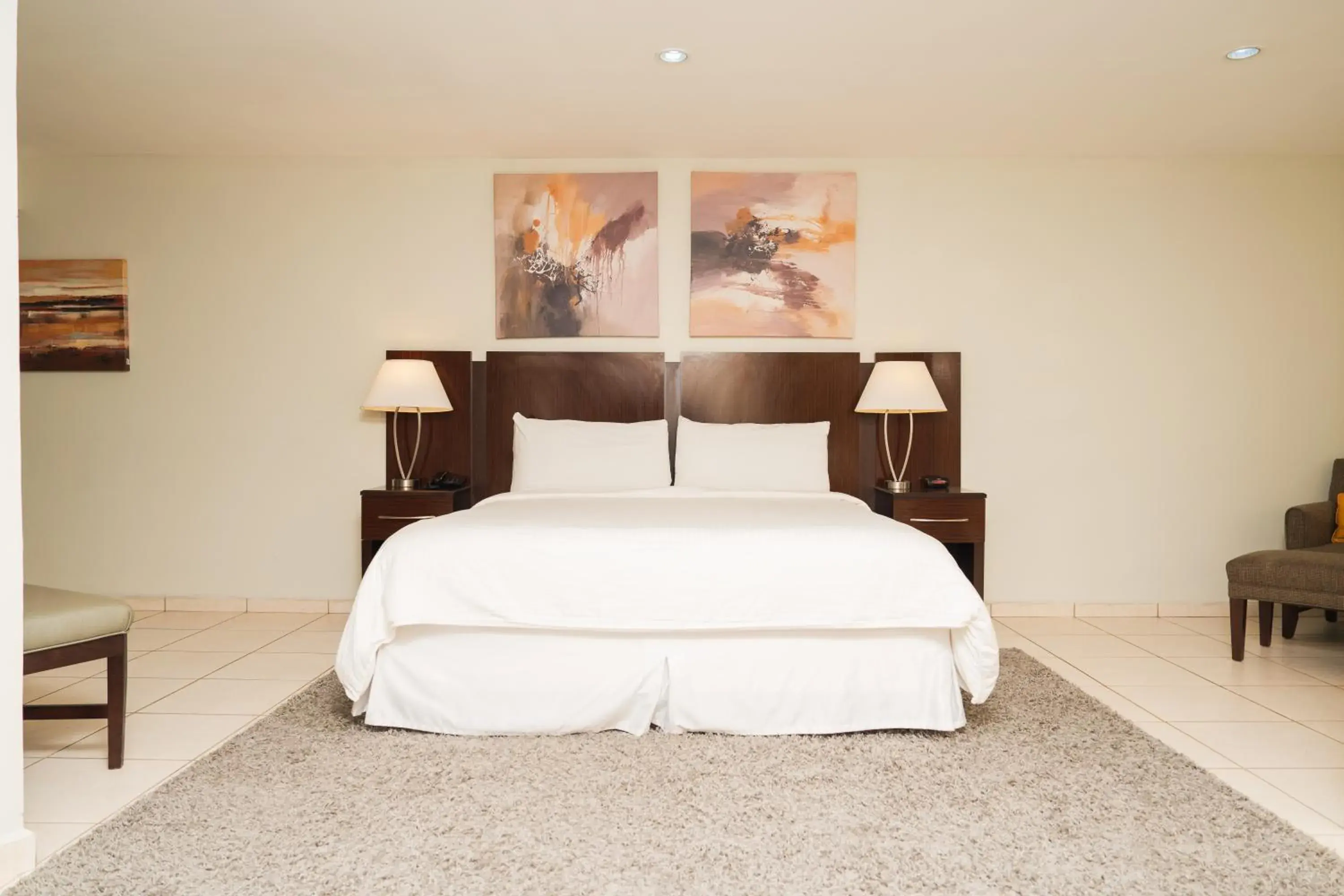 Suite - single occupancy in Hotel Los Andes Suite - single occupancy in Hotel Los Andes
