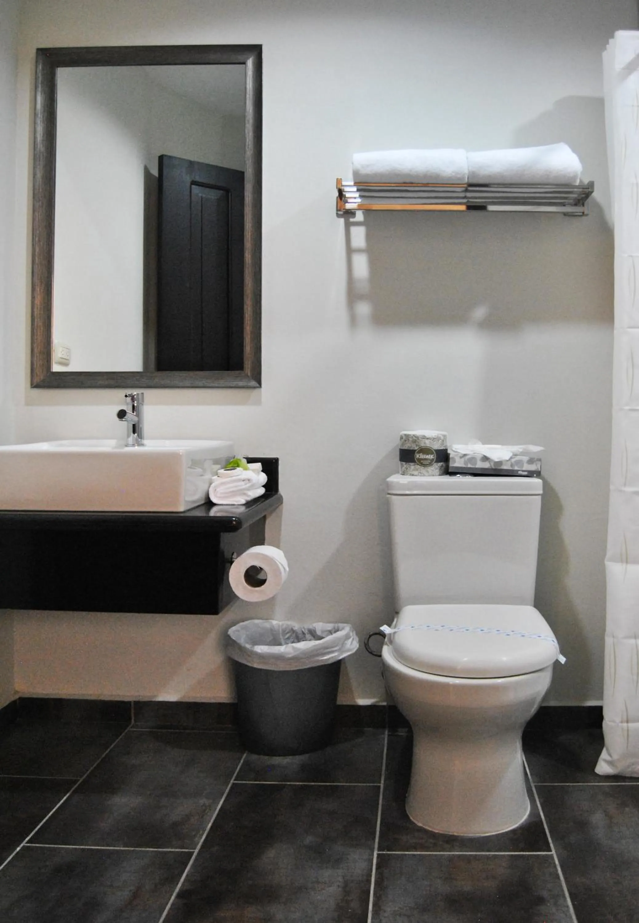 Toilet in Hotel Los Andes