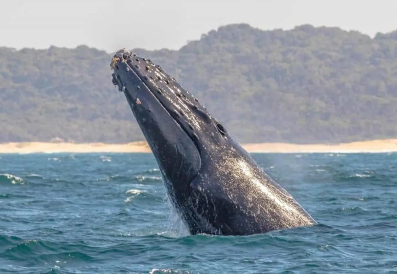 Off site in Pelican's Nest Holiday Home St Lucia