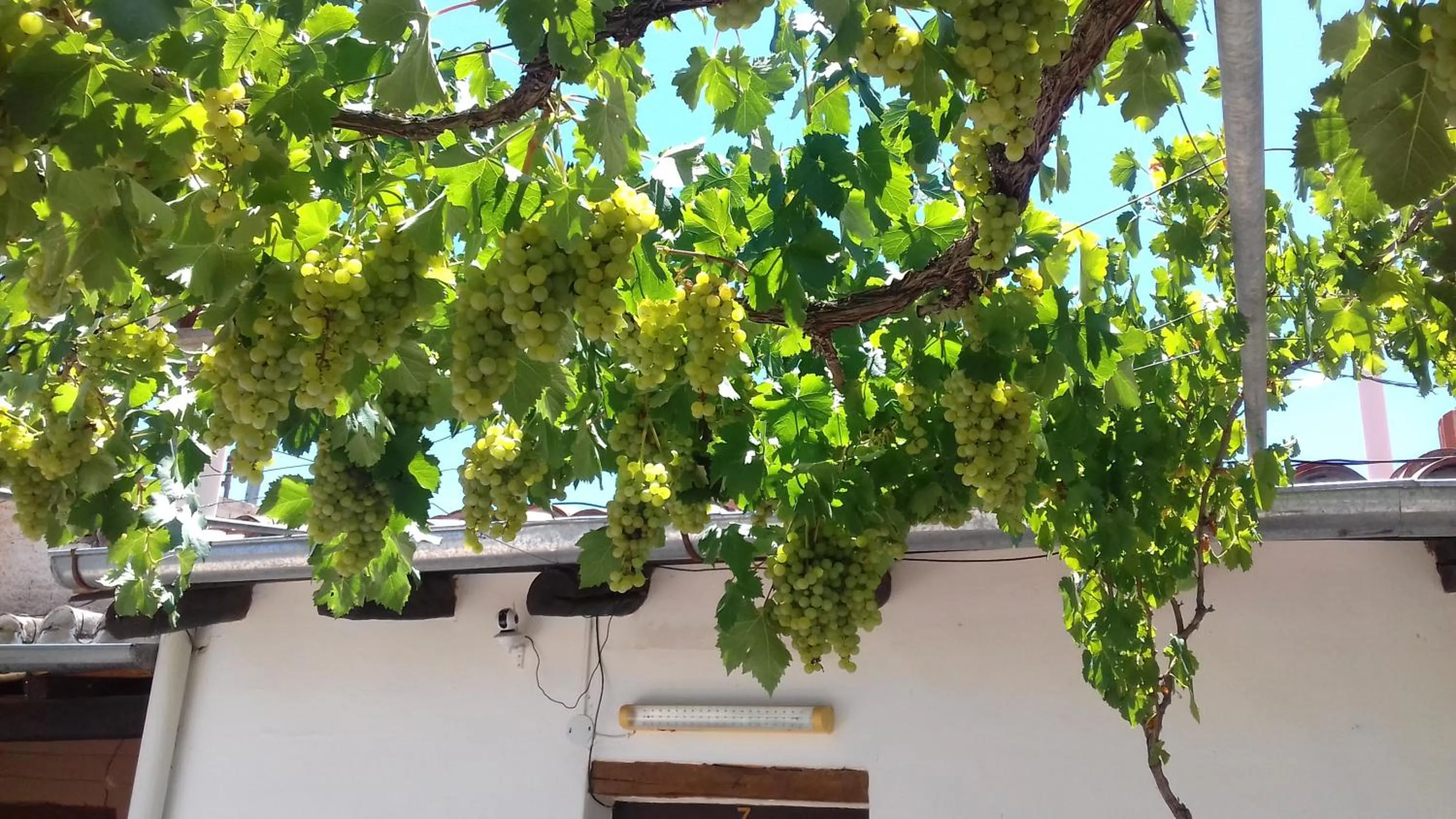 Hostal Tierra de Vinos