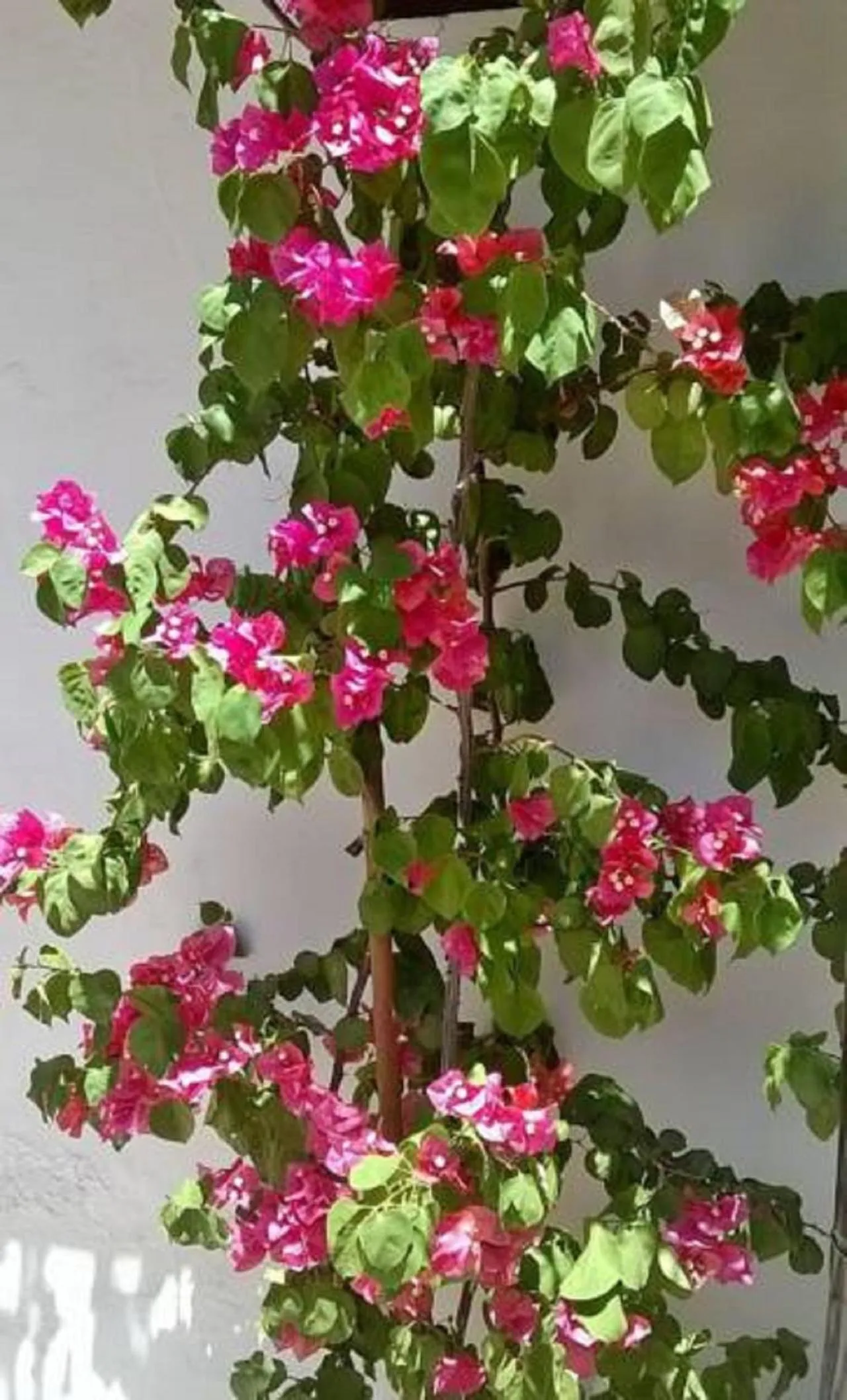 Hostal Tierra de Vinos