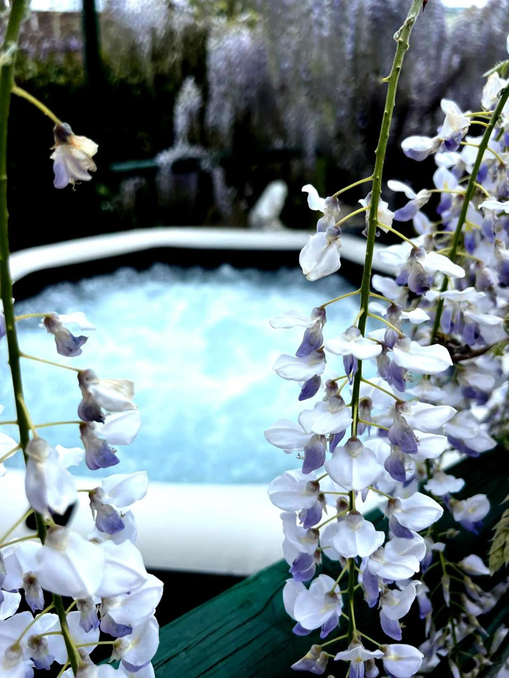 Hot Tub in Gan Eden B&B