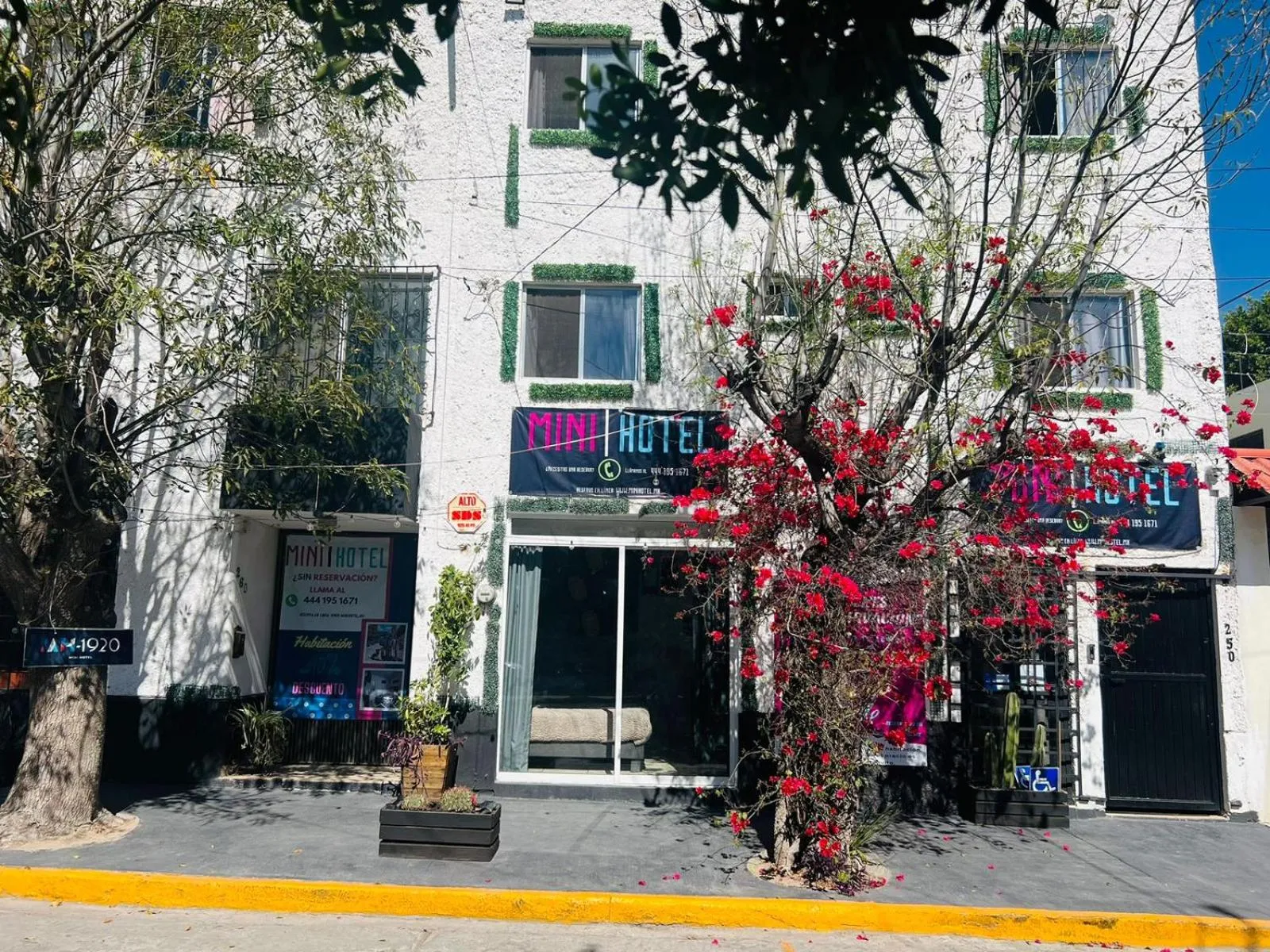 MINI HOTEL San Luis Potosí