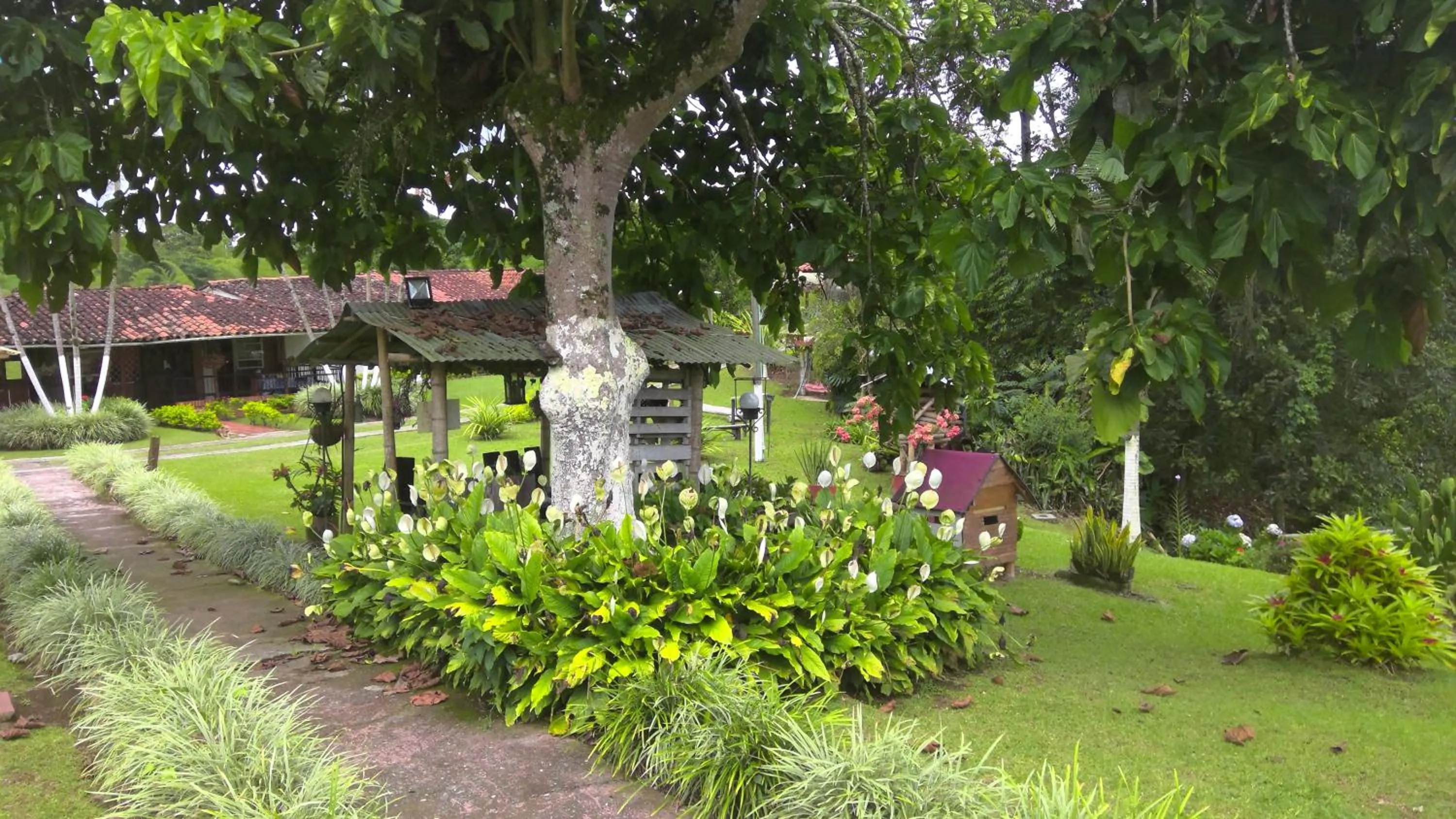 Property building in Villa Luzandi
