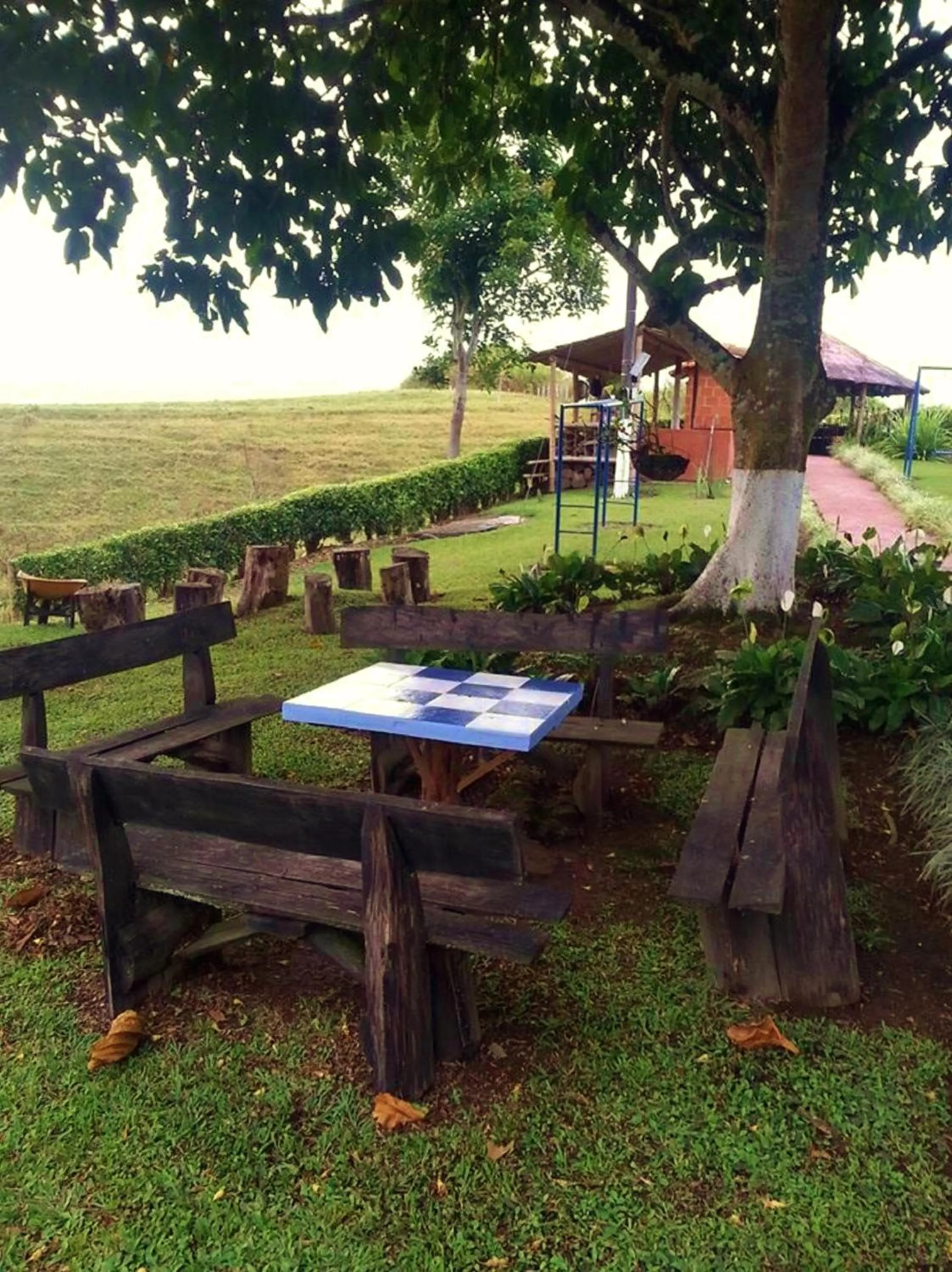 Garden in Villa Luzandi