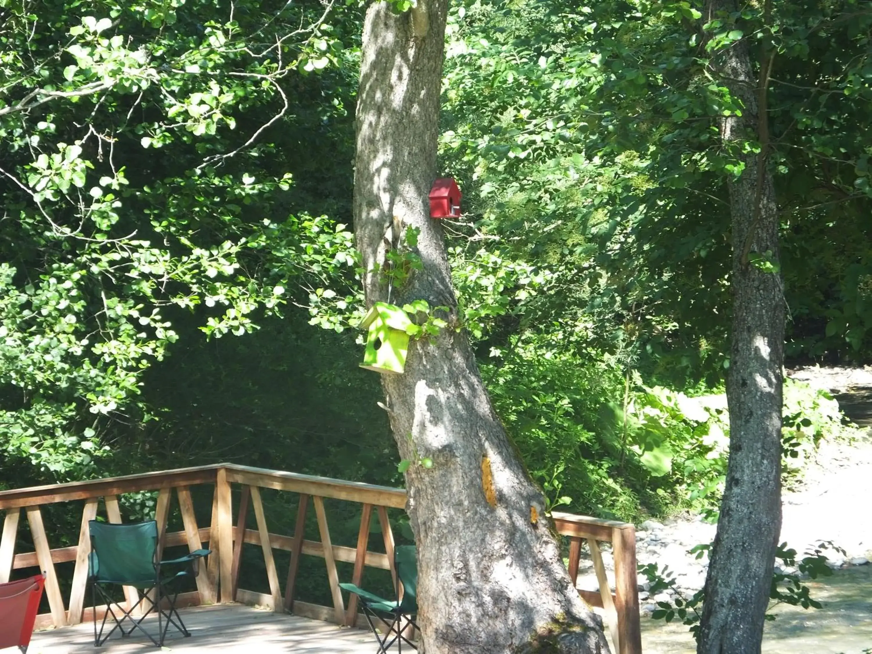 River view in Abant Lotus Otel River view in Abant Lotus Otel