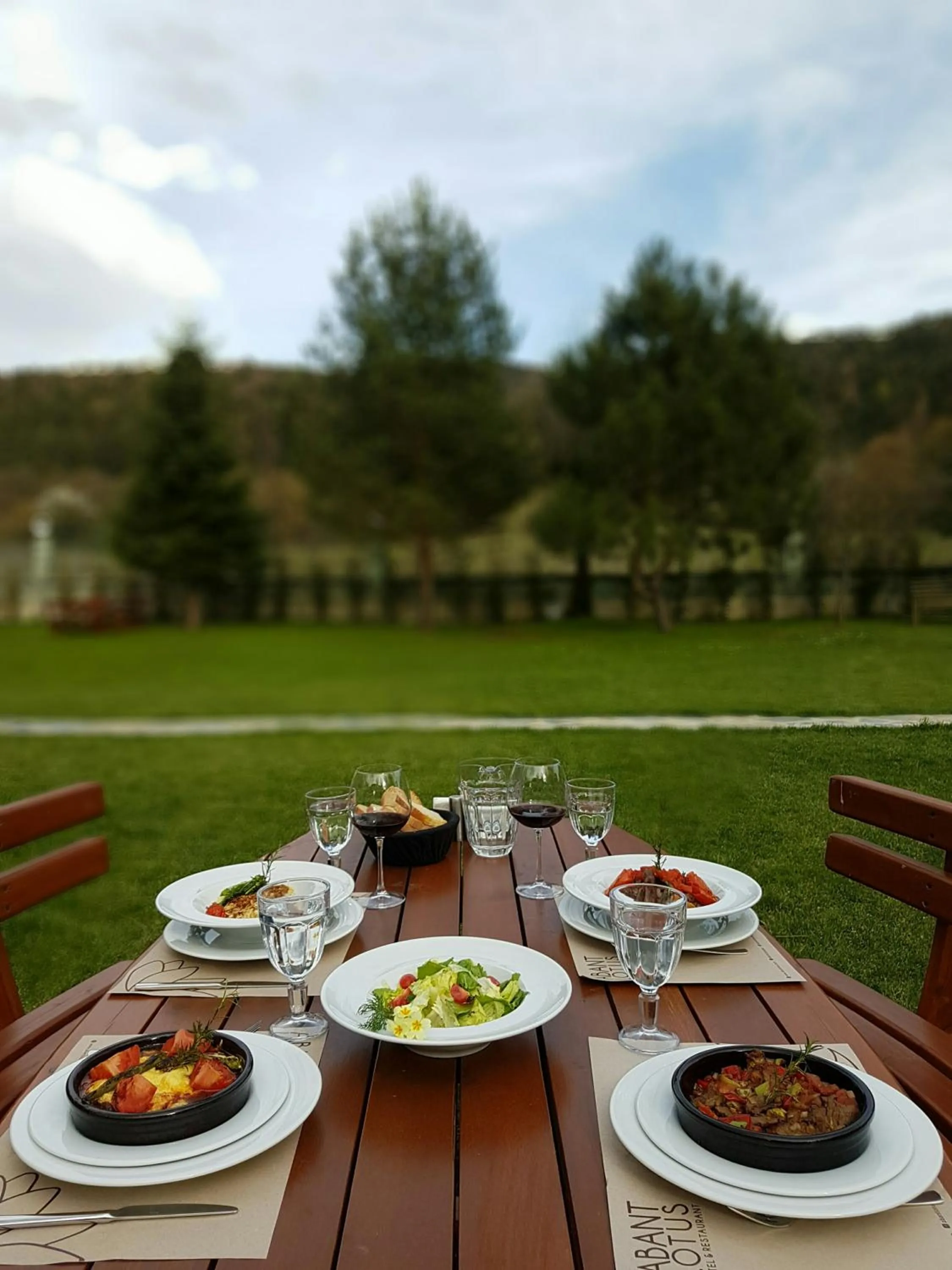 Garden in Abant Lotus Otel