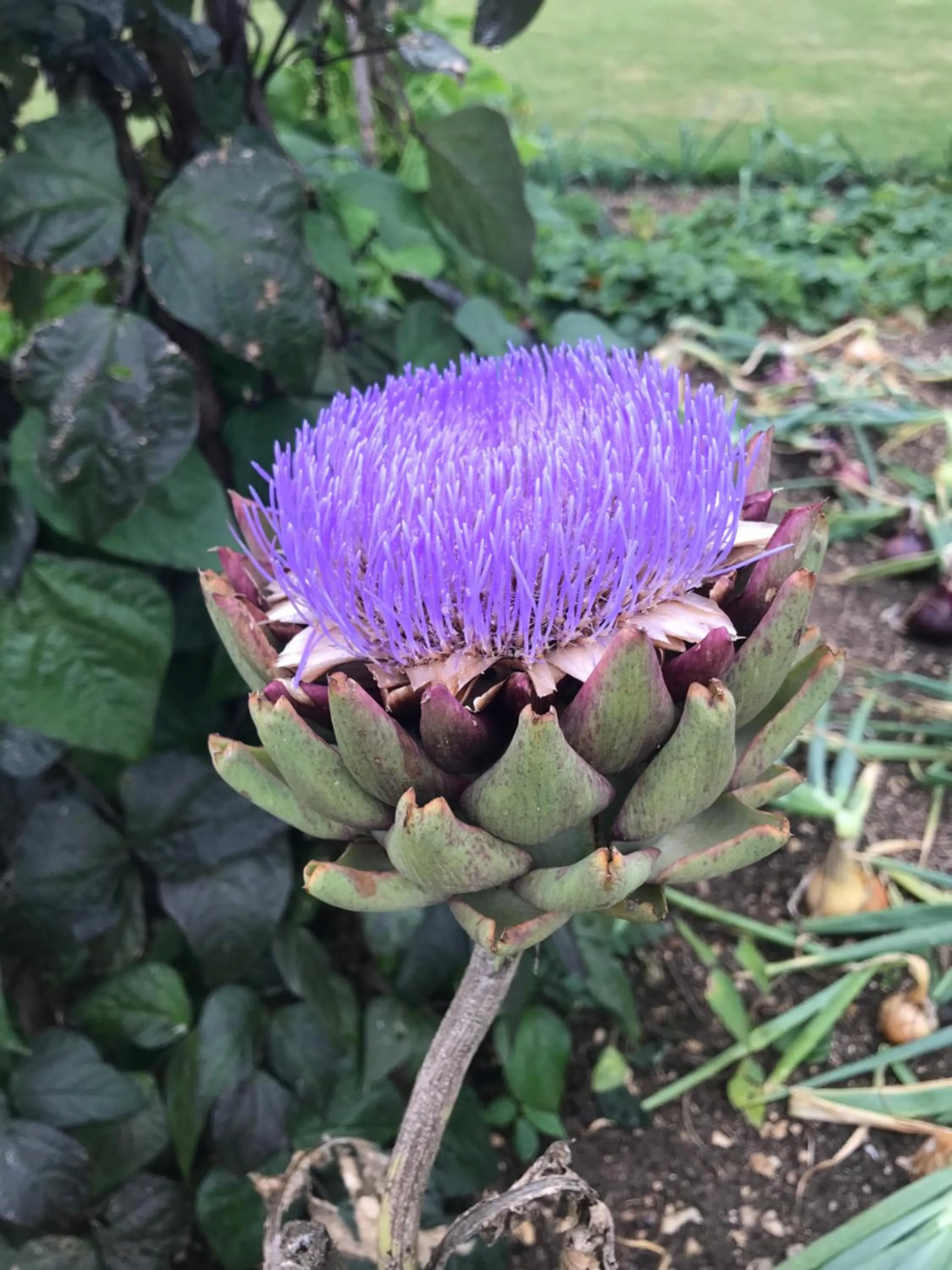 Field End House Strawberry Lane Meysey Hampton