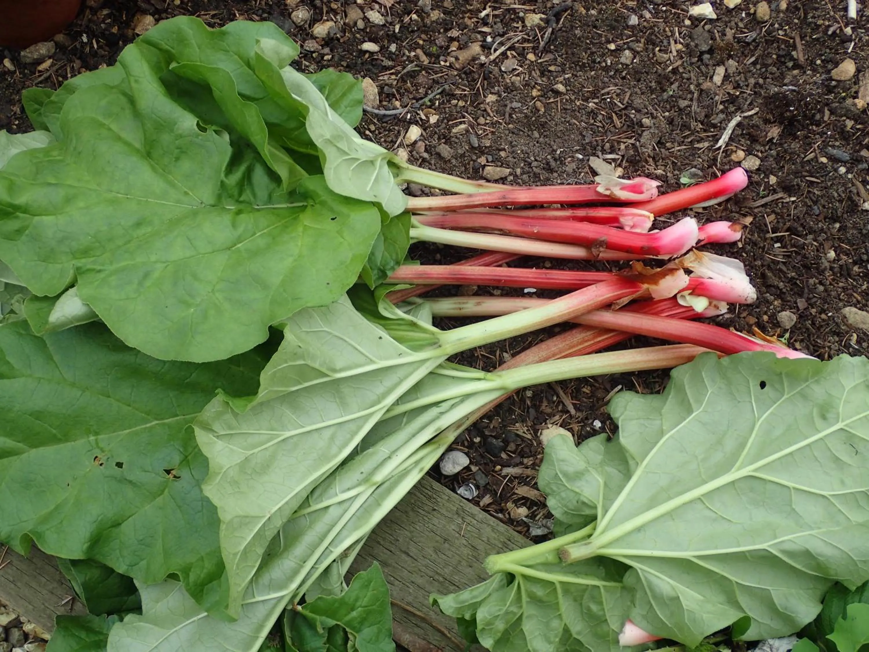 Field End House Strawberry Lane Meysey Hampton