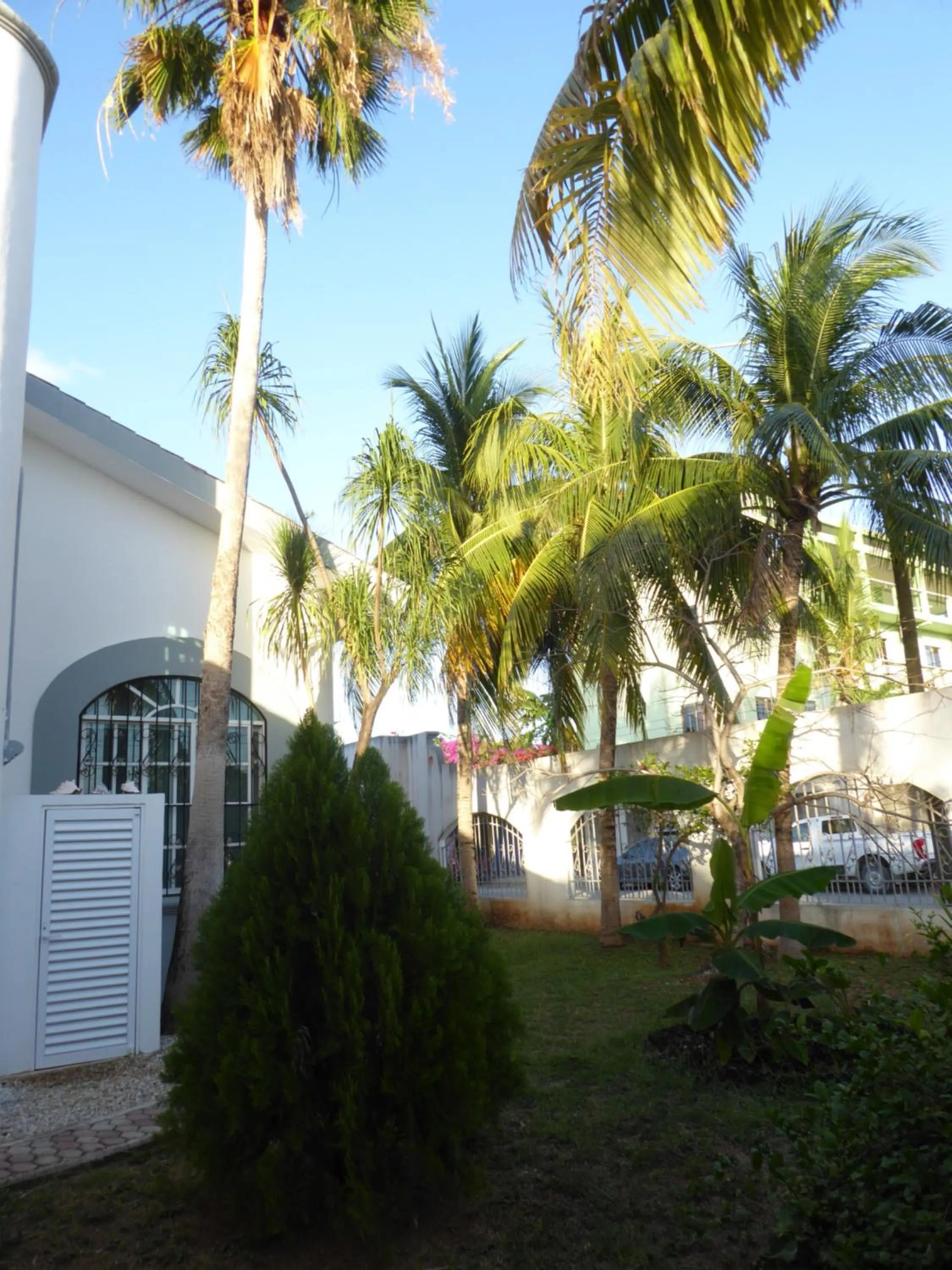 Garden in Claro de Luna