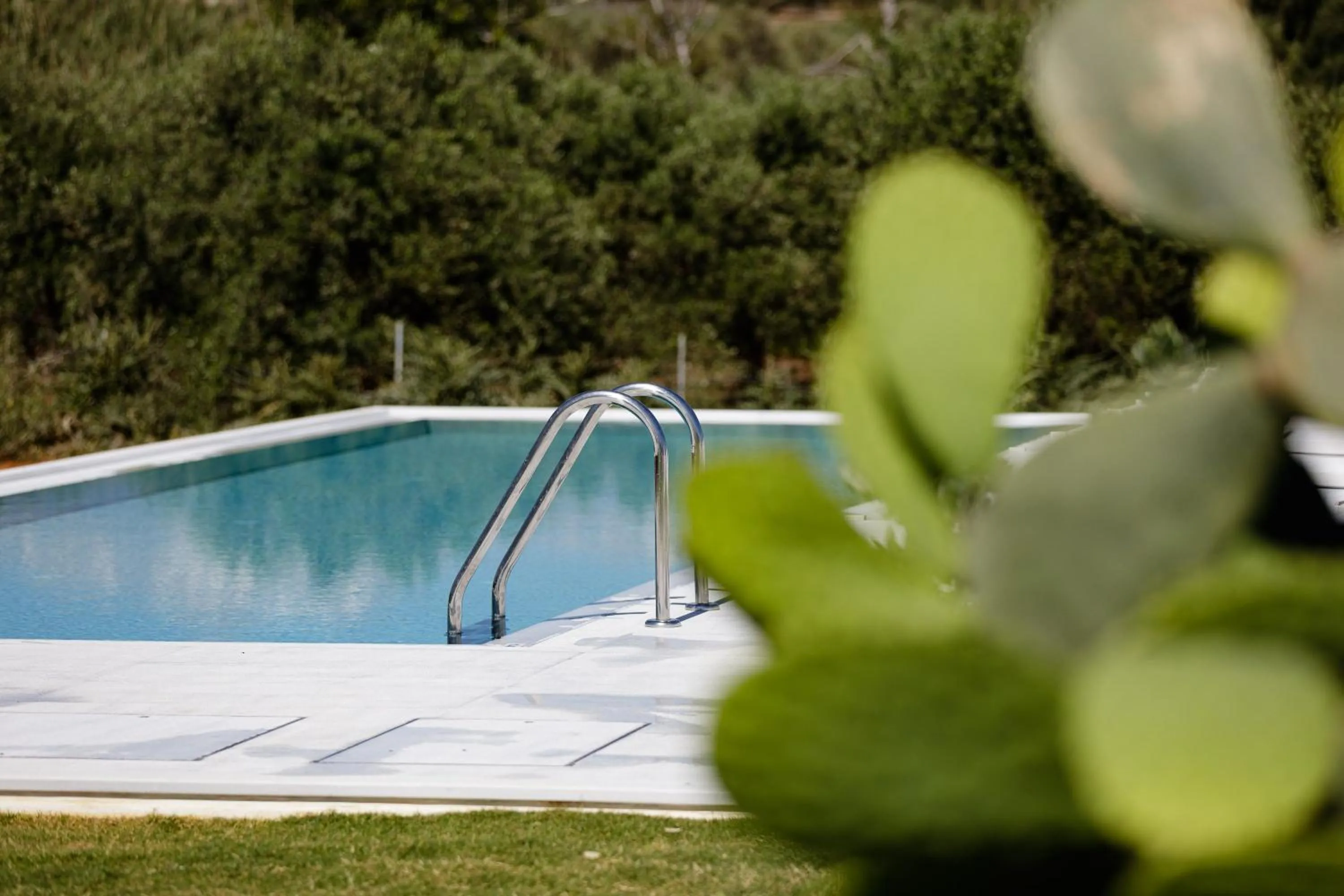 Garden in Mikro Livadi Special Lodges - Has an Eco Salt water pool - 150m from the beach