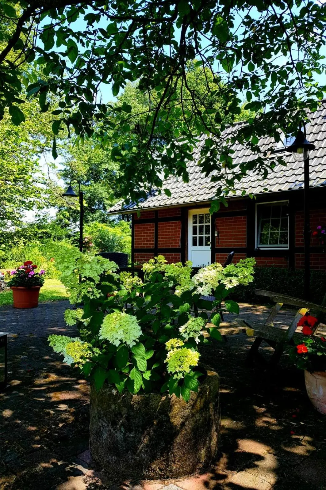 Apartment with Terrace - single occupancy in Münsterland Cottage