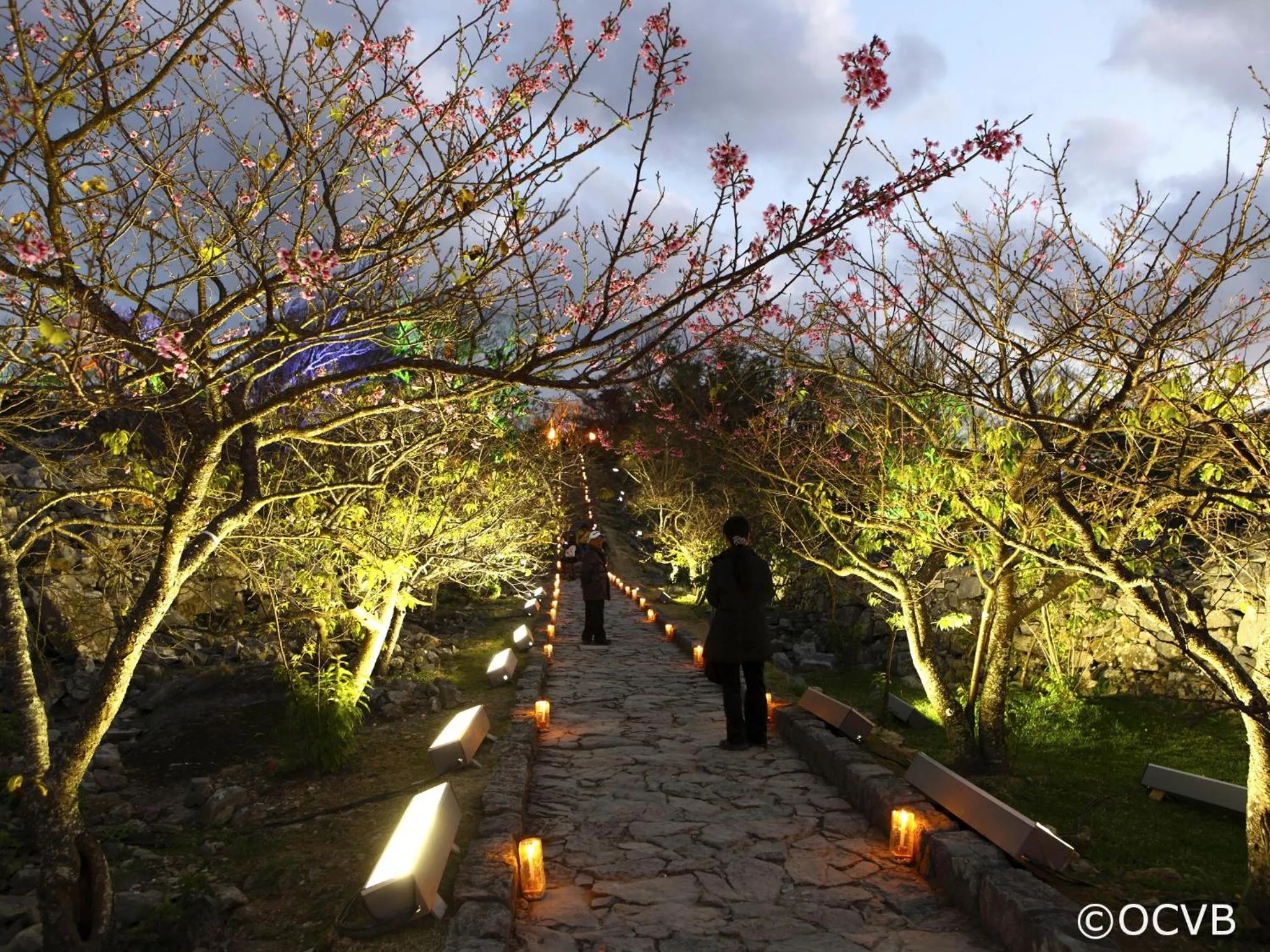 Nearby landmark in Wood Pecker Nakijin