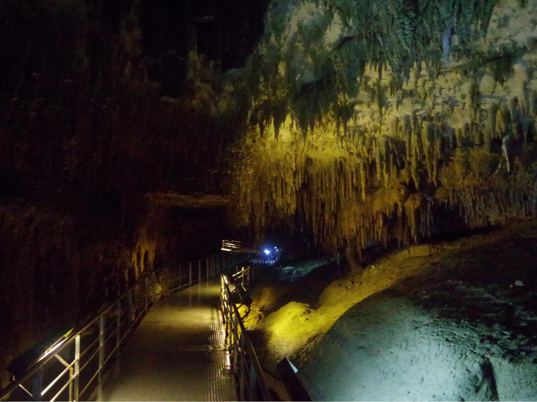Nearby landmark in Wood Pecker Nakijin
