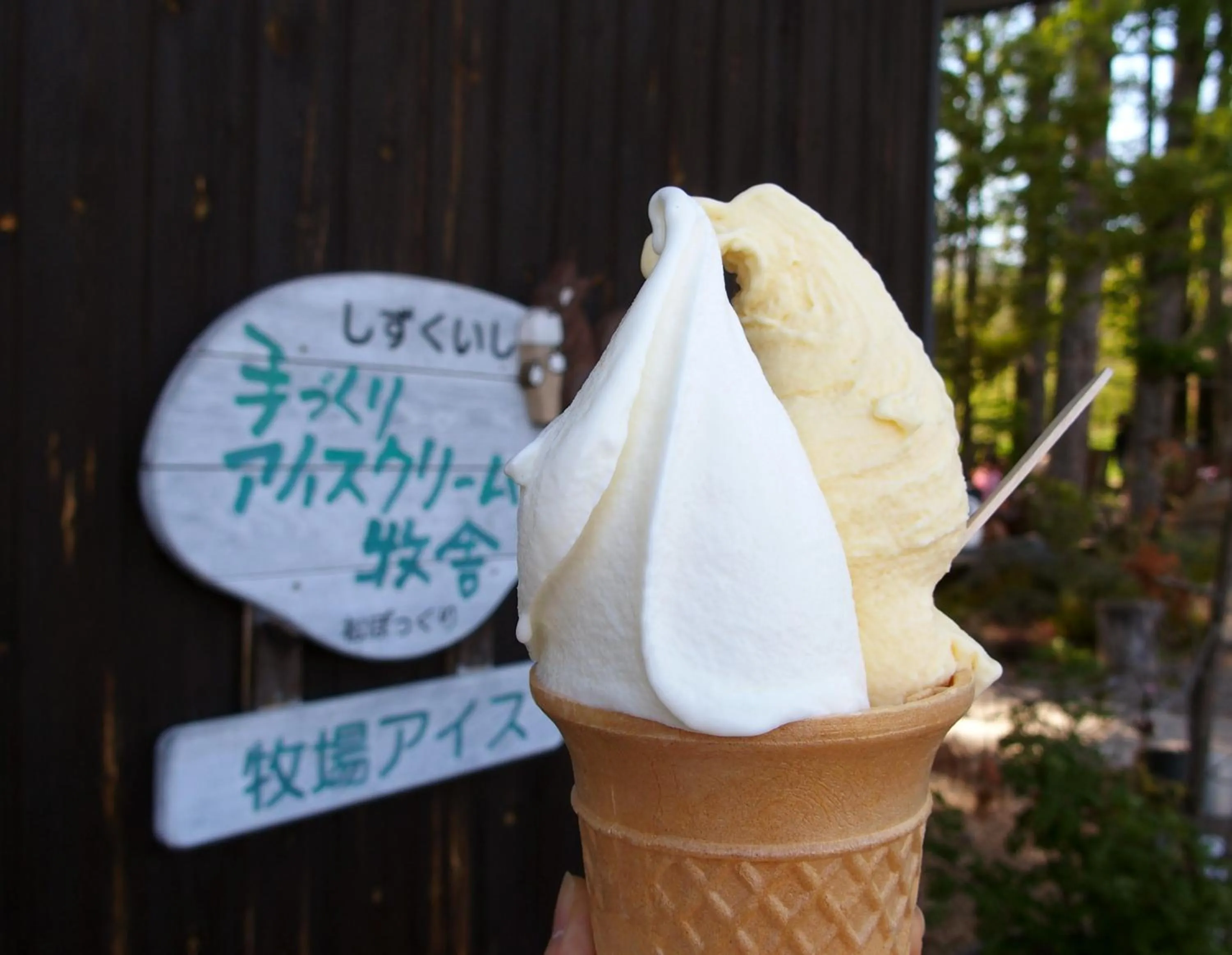 Other in Pension Sanrinsha