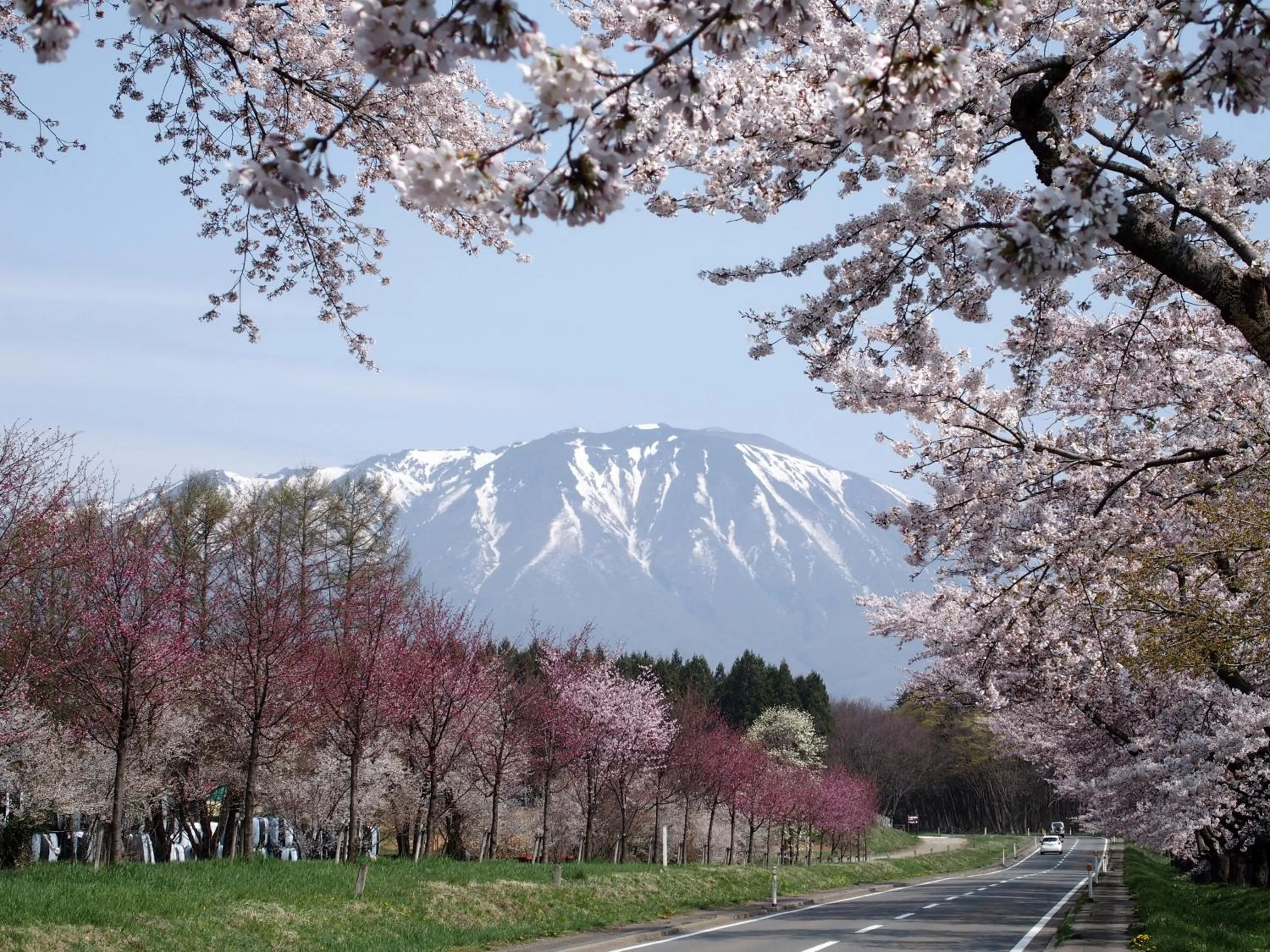 Nearby landmark in Pension Sanrinsha